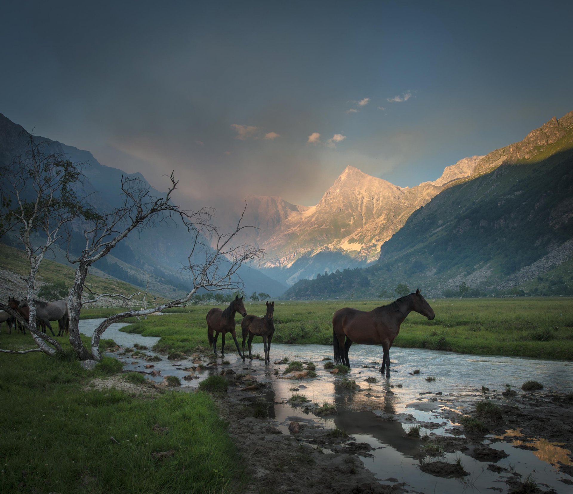 mountains gorge valley haze stream grass tree horses horses watering hole