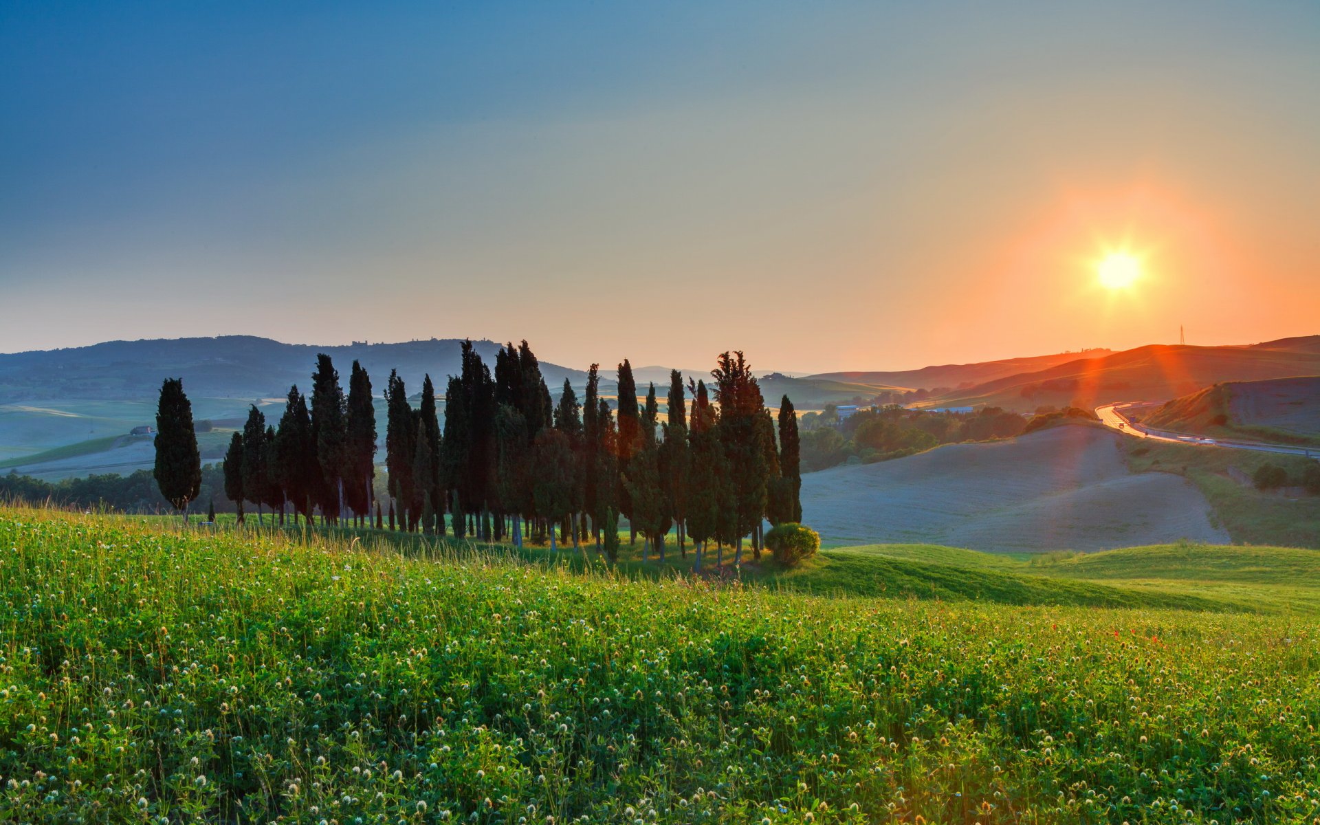 feld baum landschaft sonnenuntergang