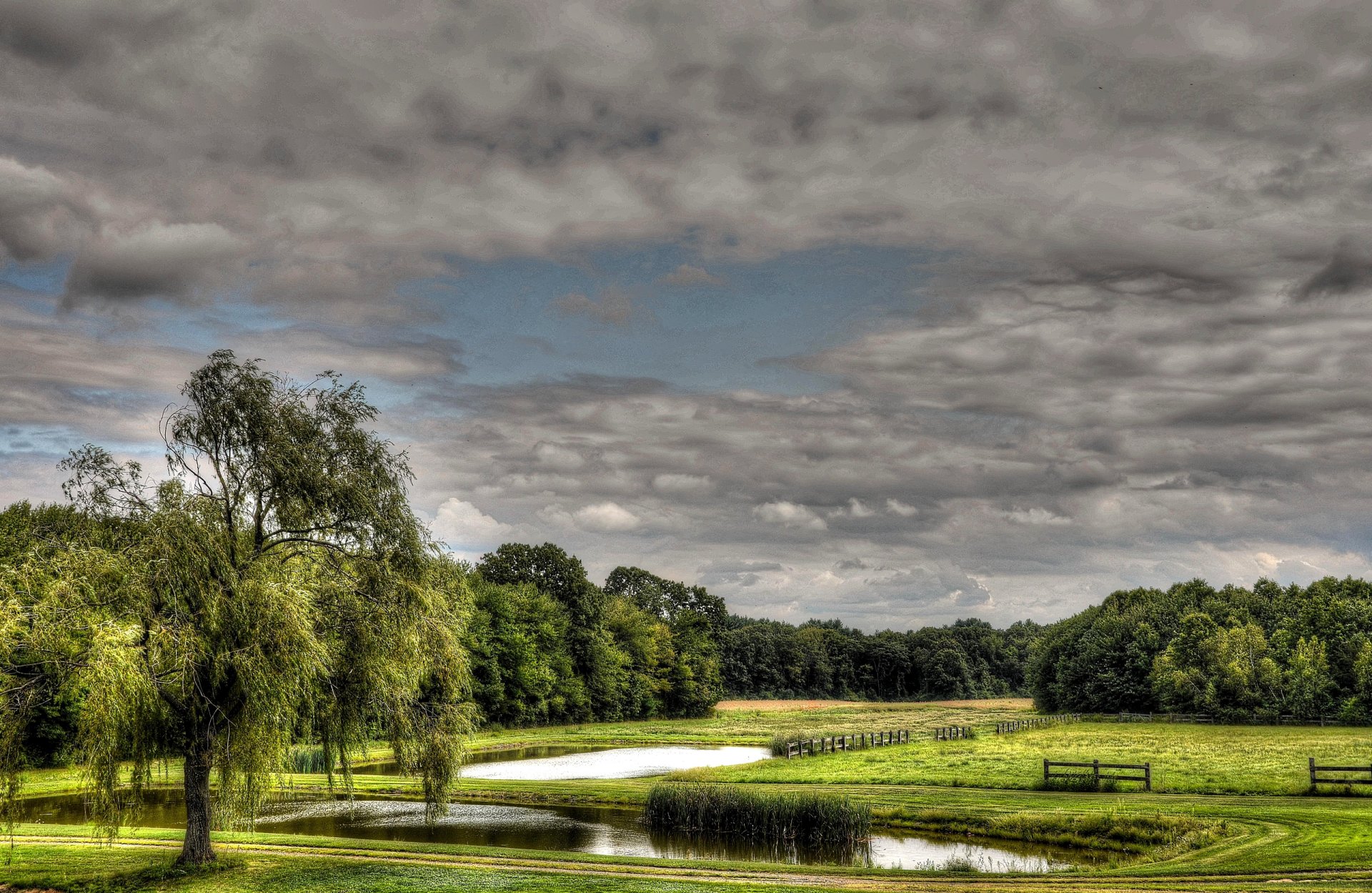 cielo nuvole campo prato stagno alberi recinzione