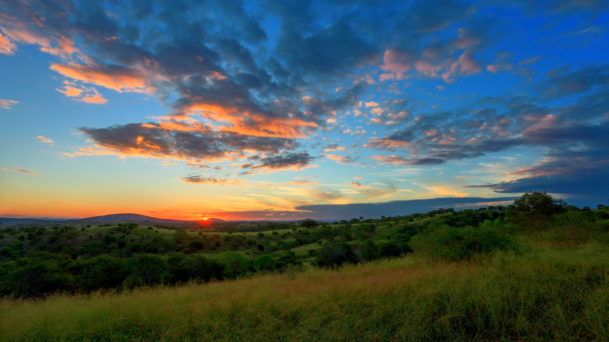 feld bäume hügel sonnenuntergang himmel wolken