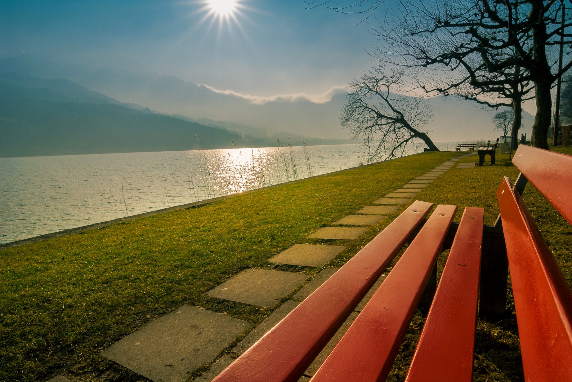 firvaldsteth lake lake lucerne switzerland mountains sun bench park