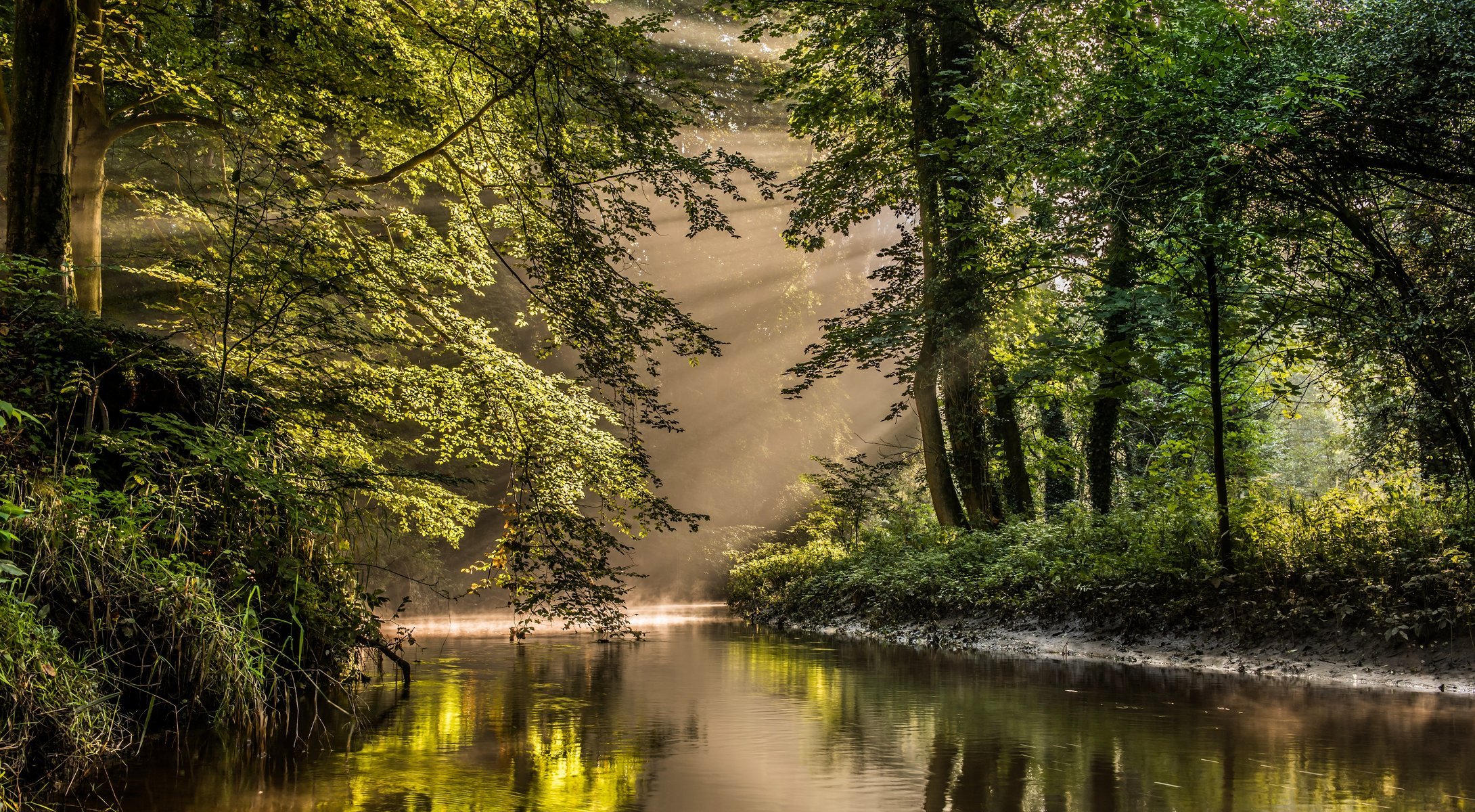 bekendelle winterswijk pays-bas réserve naturelle rivière forêt arbres