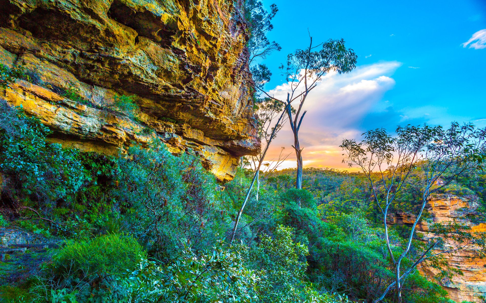 park narodowy blue mountains australia niebo chmury skały drzewa