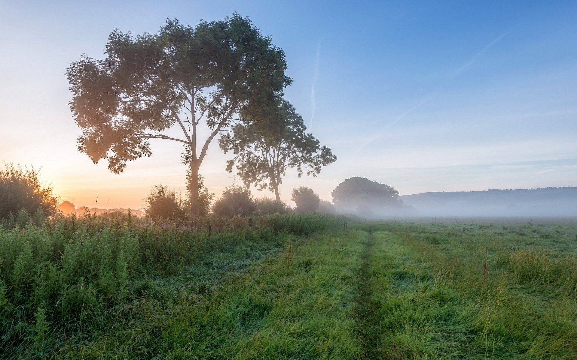 feld morgen nebel landschaft