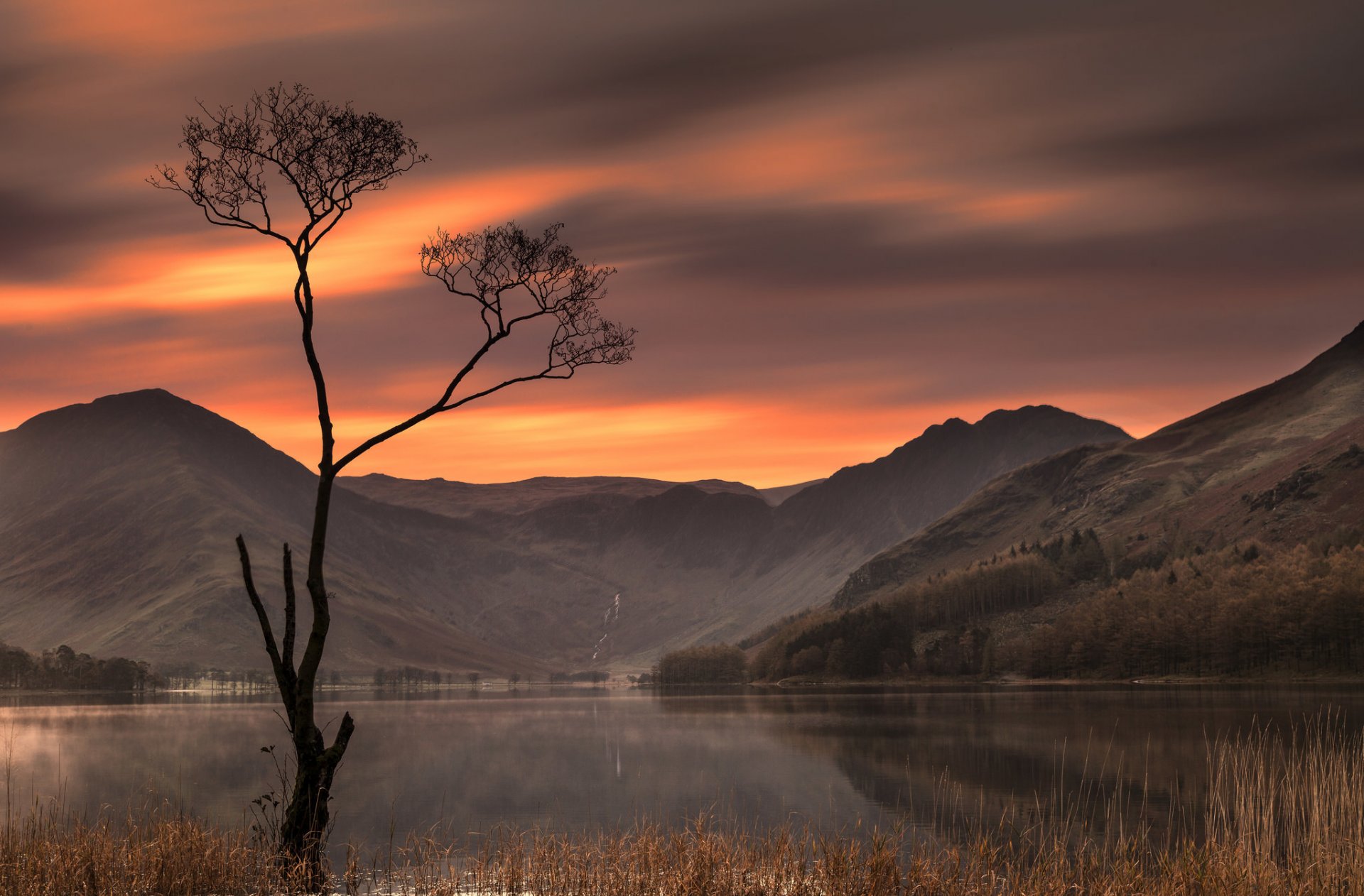 lago buttermere lake district inglaterra distrito de los lagos lago montañas árbol puesta de sol