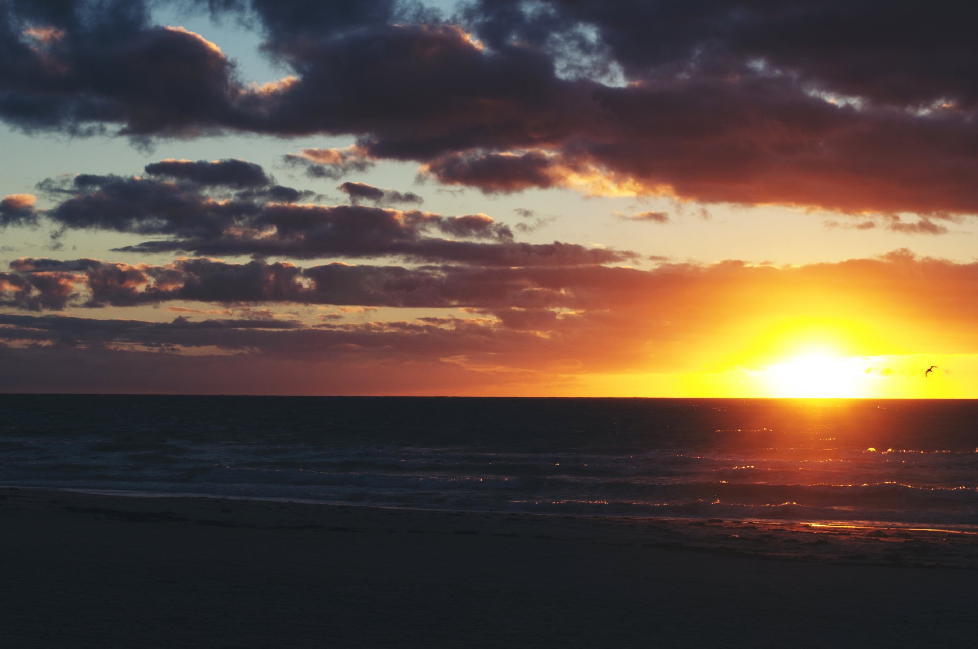 tramonto orizzonte cielo nuvole onde uccello