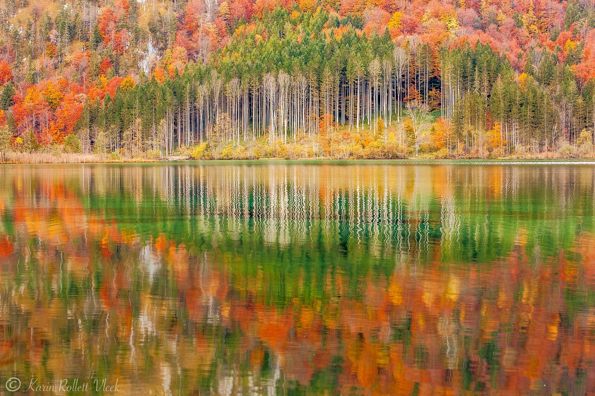 herbst see reflexion natur wald landschaft