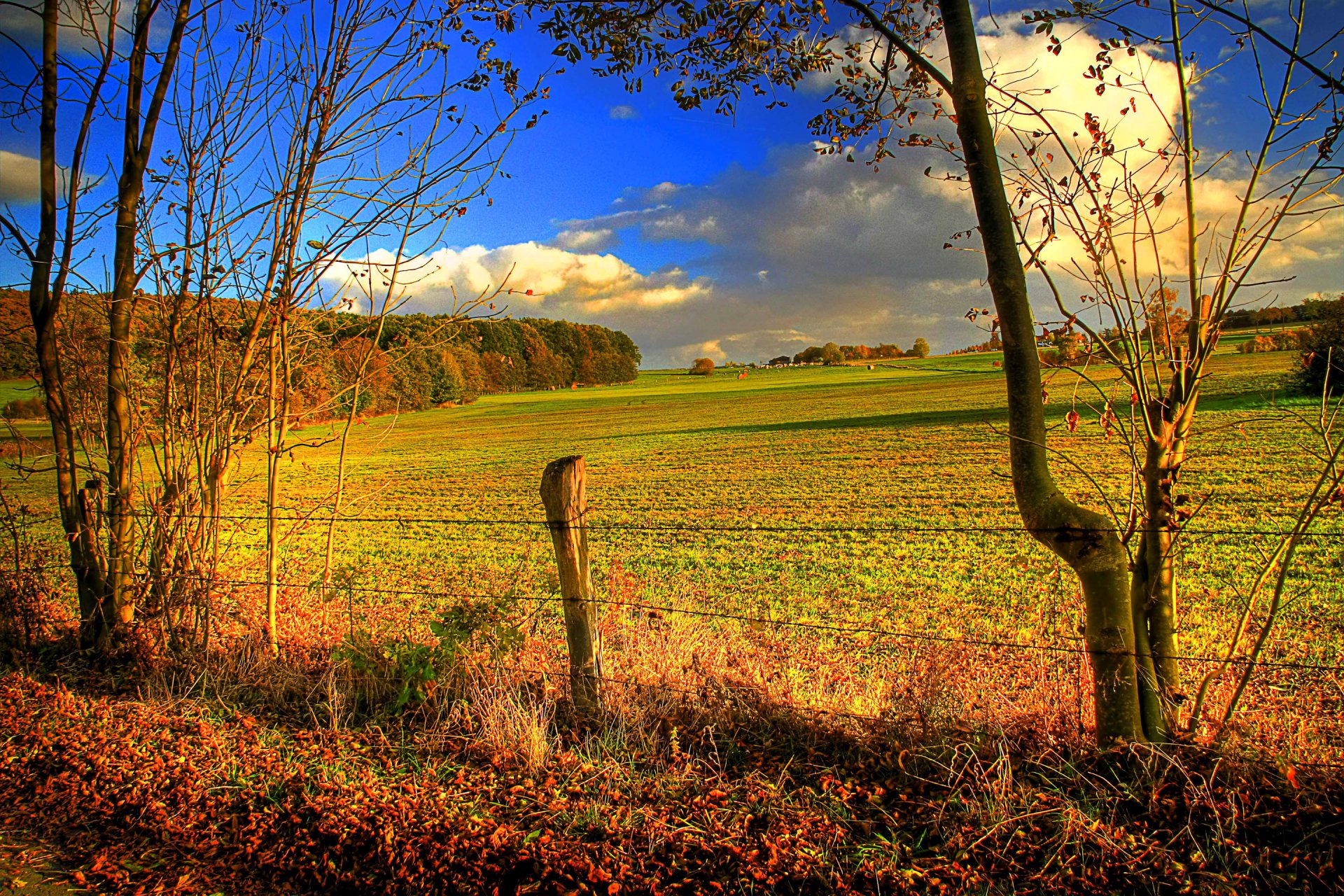 ky clouds the field tree autumn