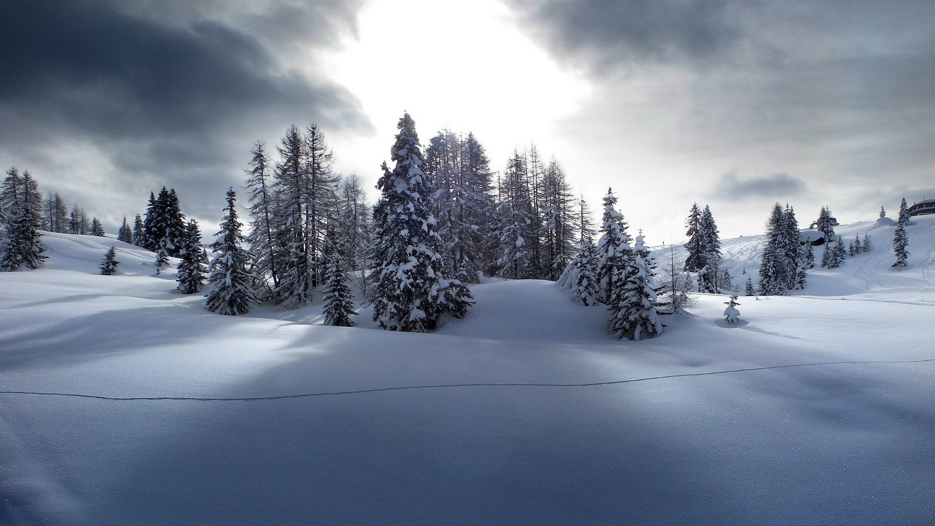 inverno neve paesaggio