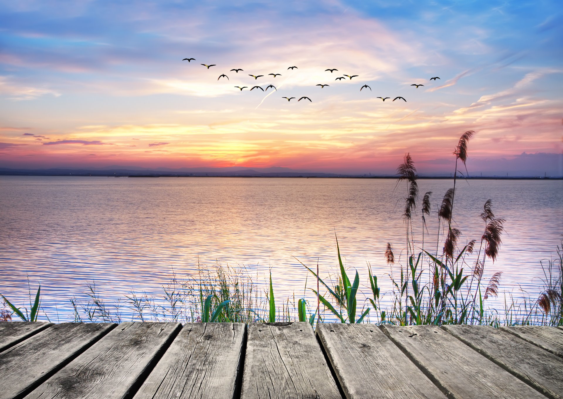 puesta de sol lago paisaje gaviotas