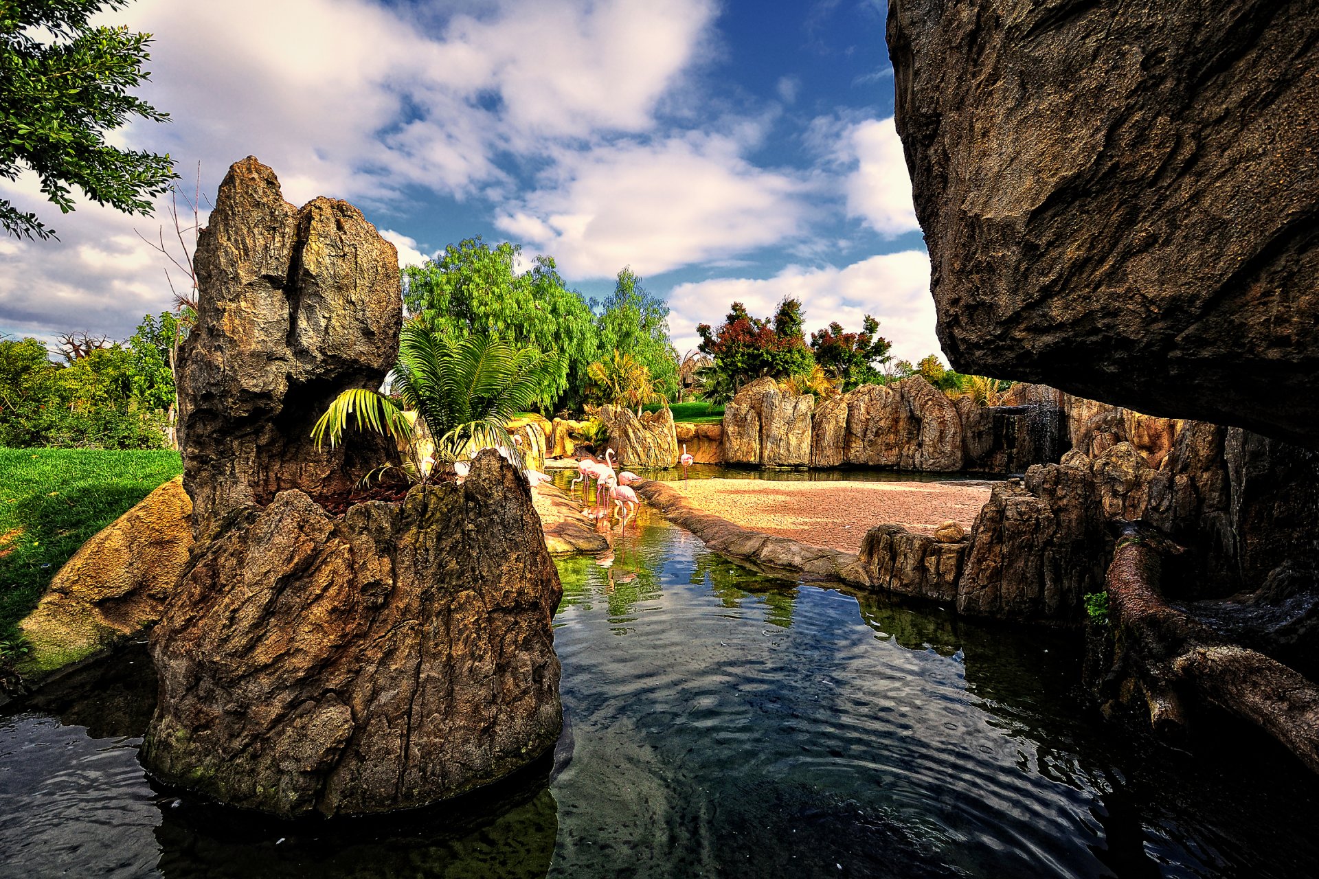 valencia españa parque jardín pájaros flamencos rocas estanque agua árboles cielo nubes