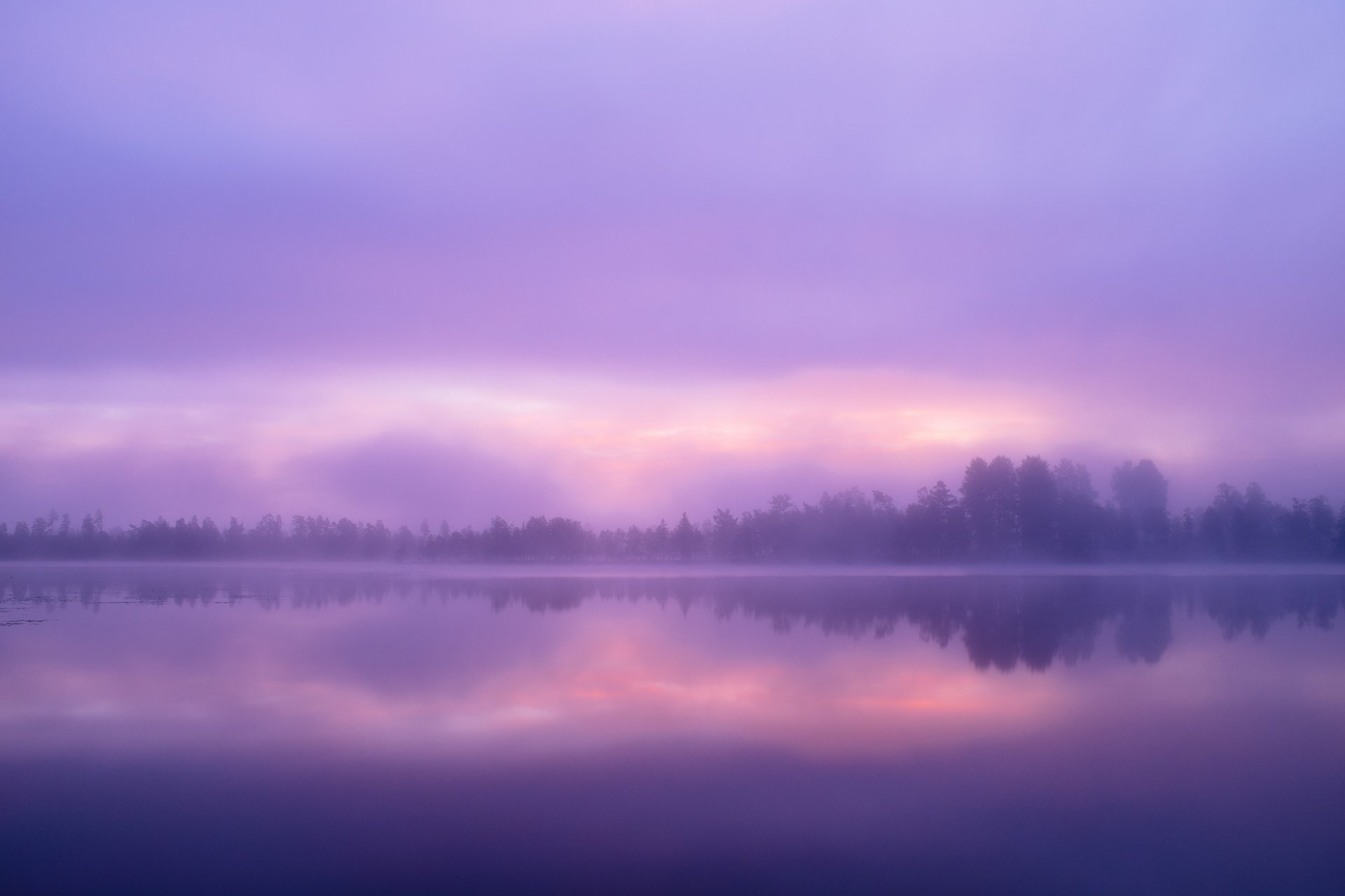 lake water forest tree sky cloud