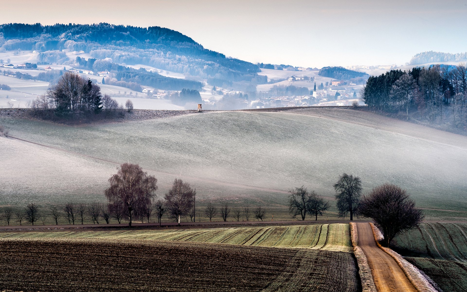 italia colline campi nebbia alberi città case