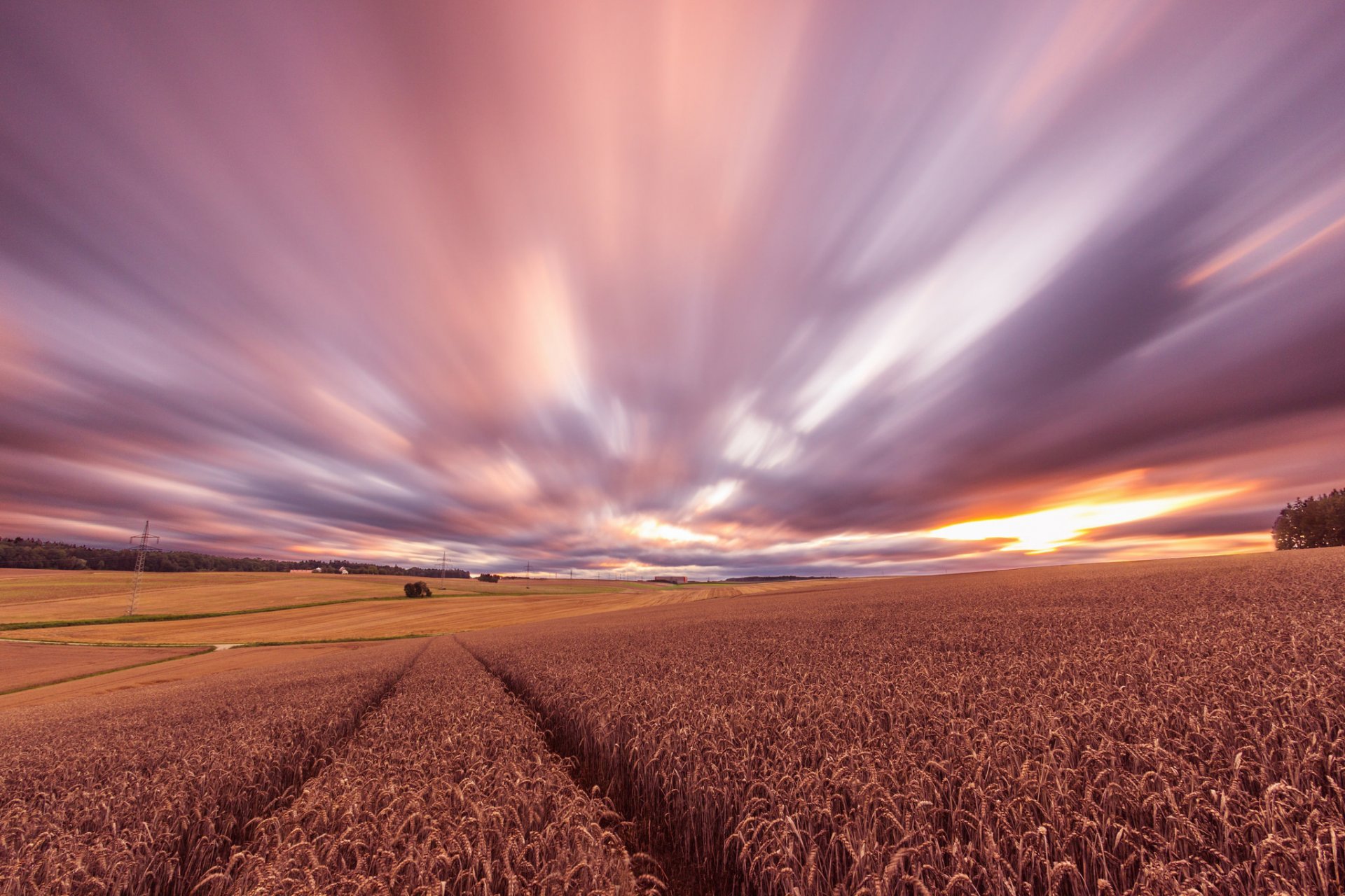 the field wheat vintage night sunset