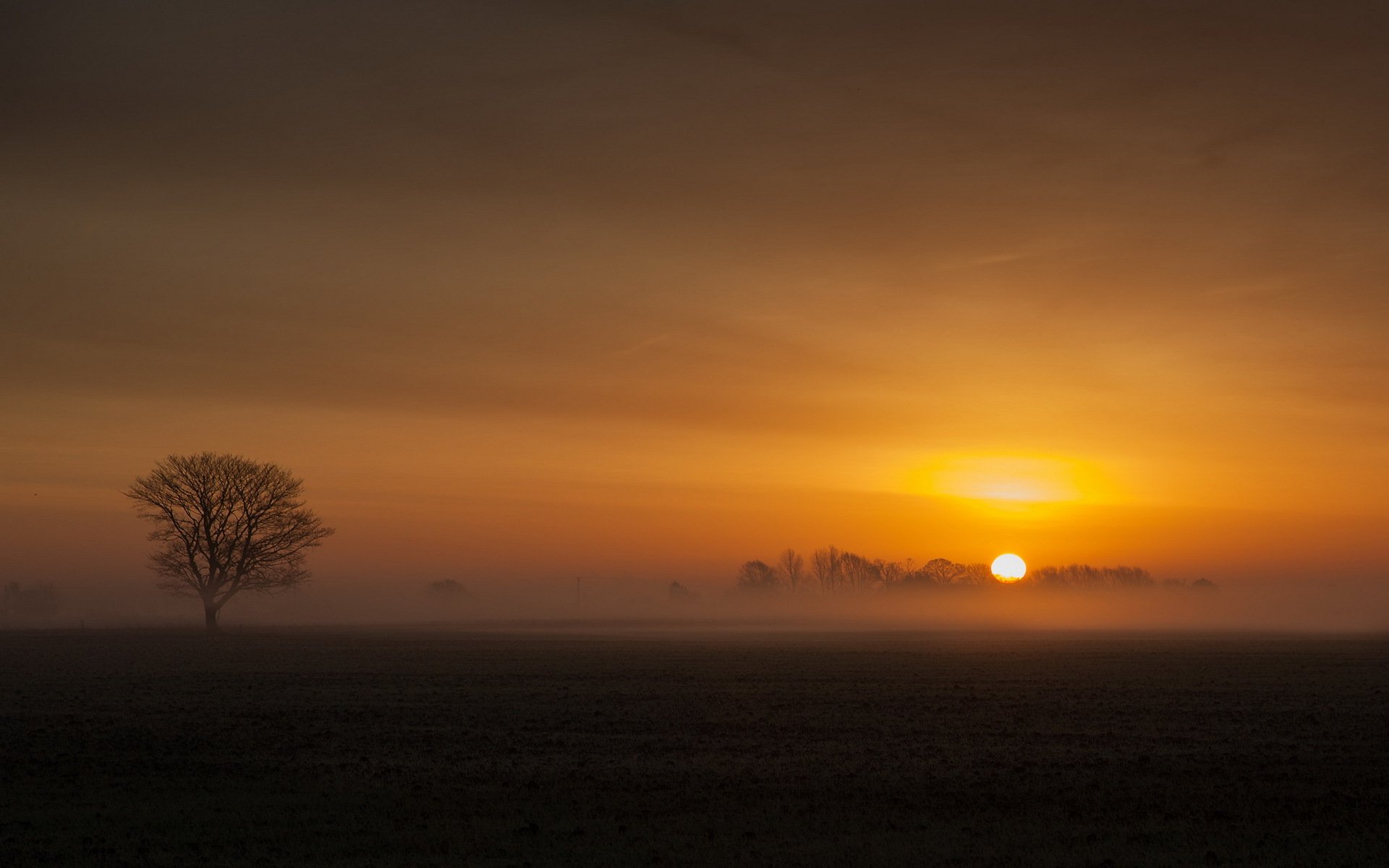 fenland natura