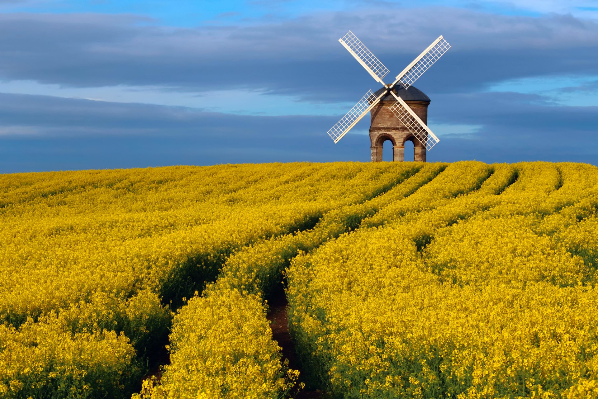 regno unito contea warwickshire edificio storico chesterton mulino a vento mulino a vento primavera aprile cielo campo colza