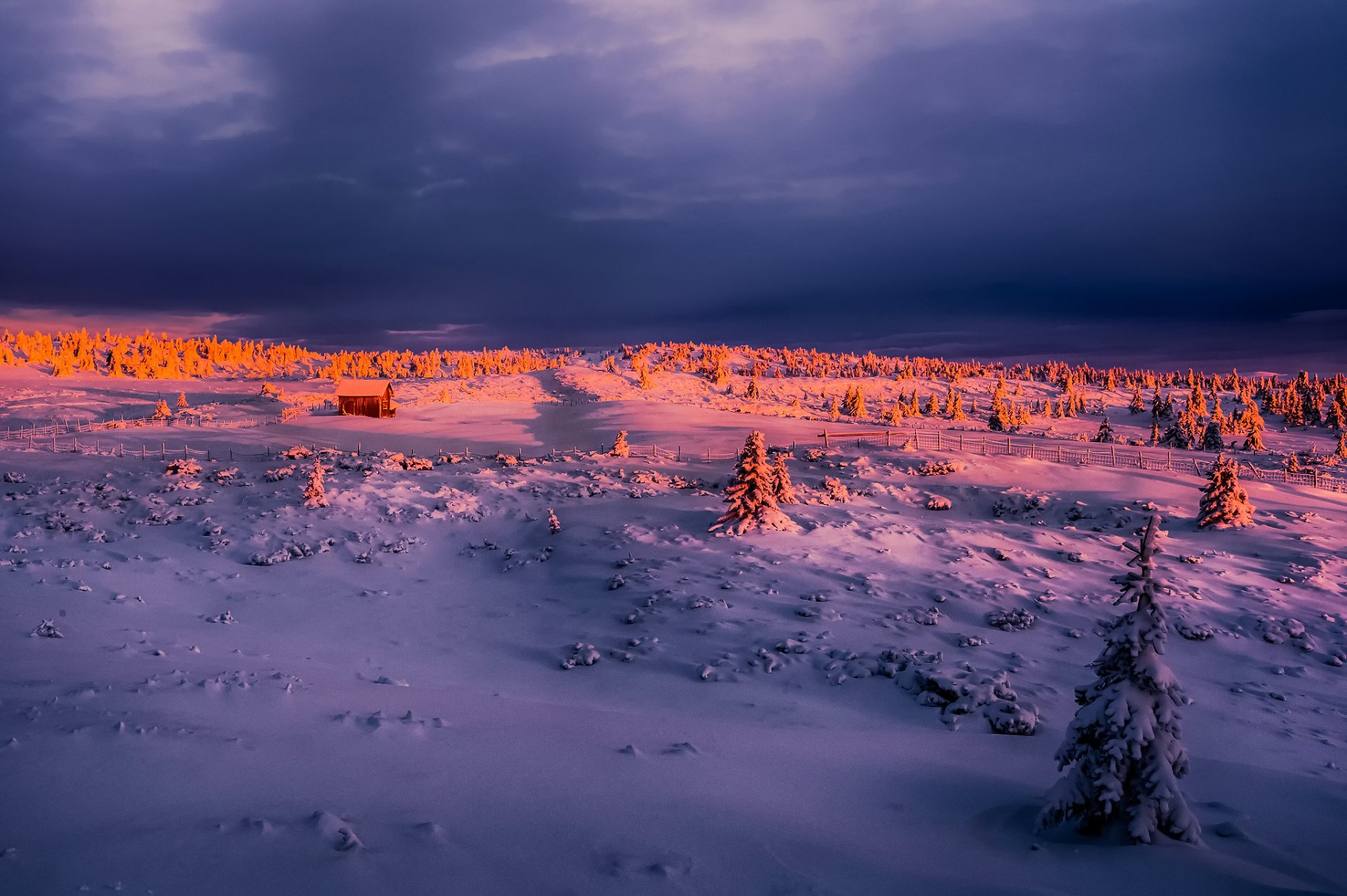 hiver matin lumière neige maison