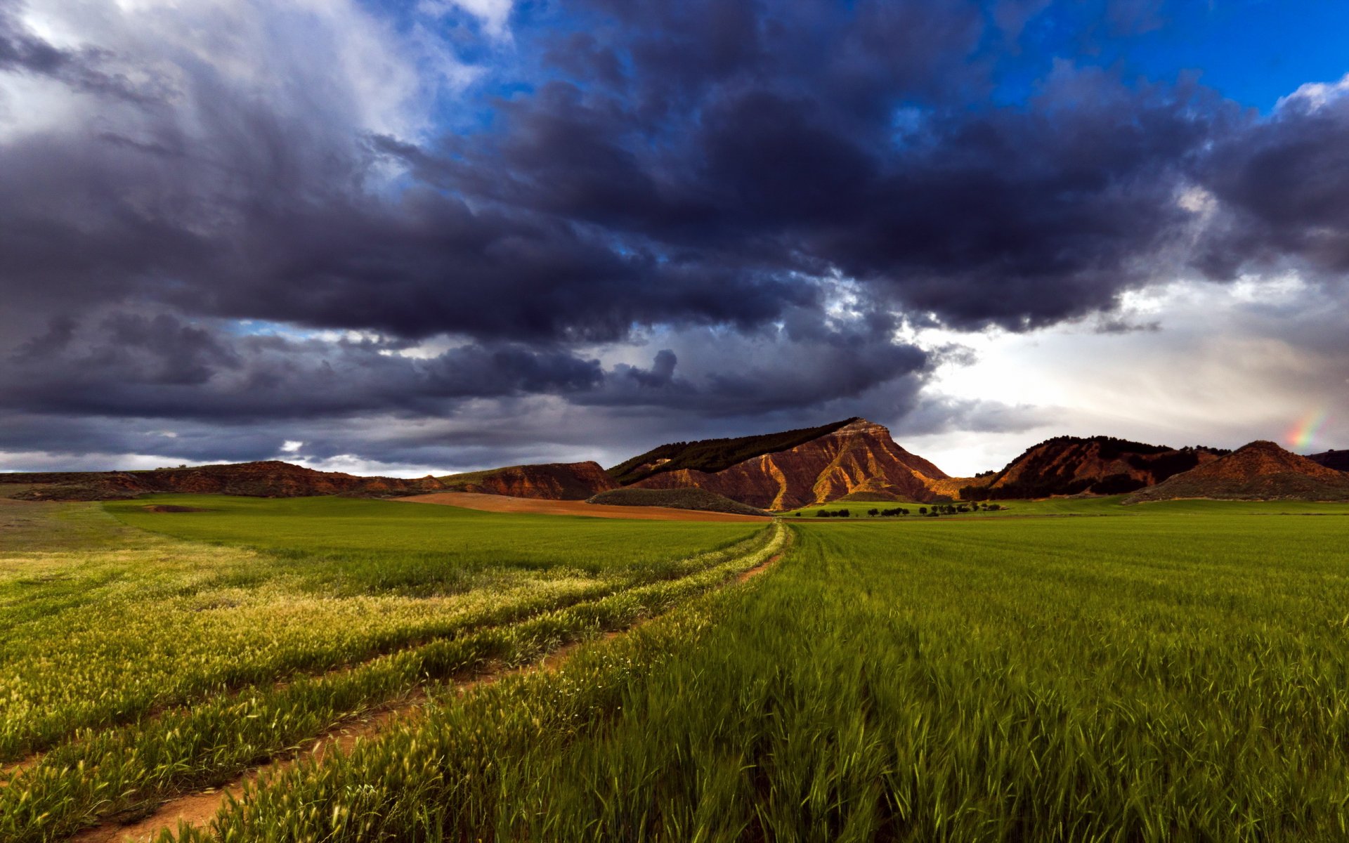 campo cielo natura paesaggio