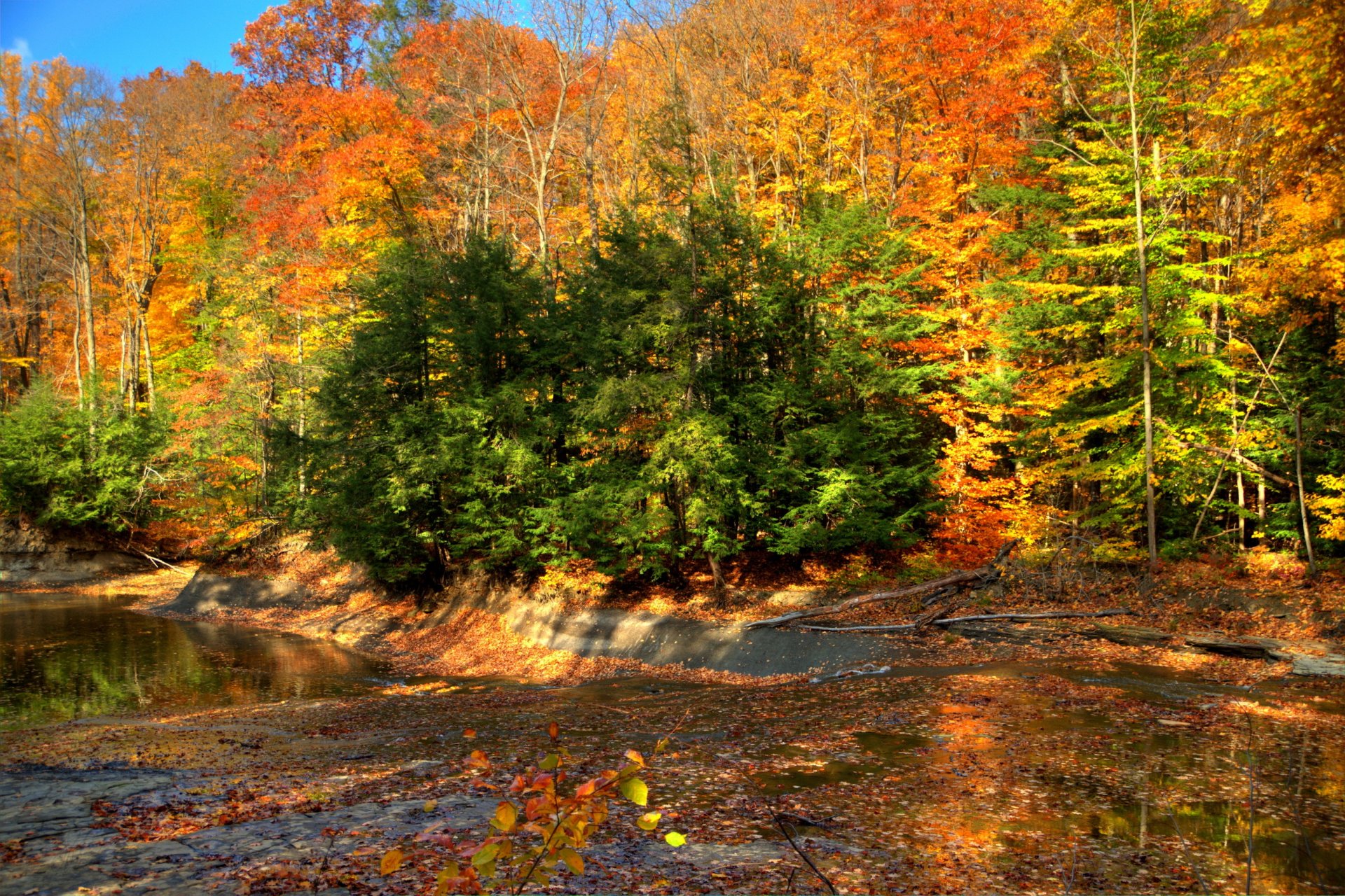 autumn forest road nature photo