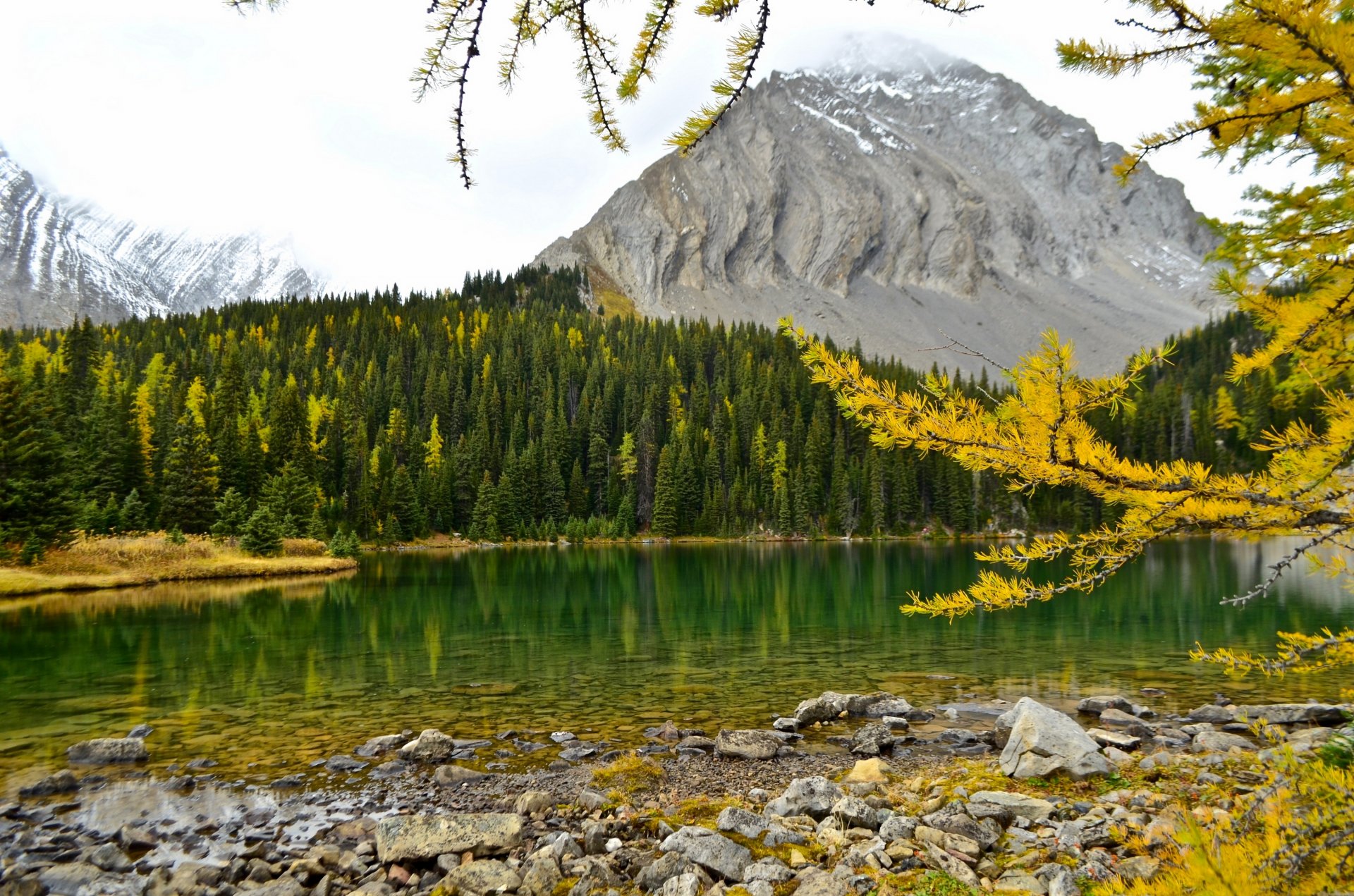 lago di chester montagne rocciose canadesi alberta canada lago di chester montagne rocciose canadesi autunno lago montagna foresta ramoscelli larice