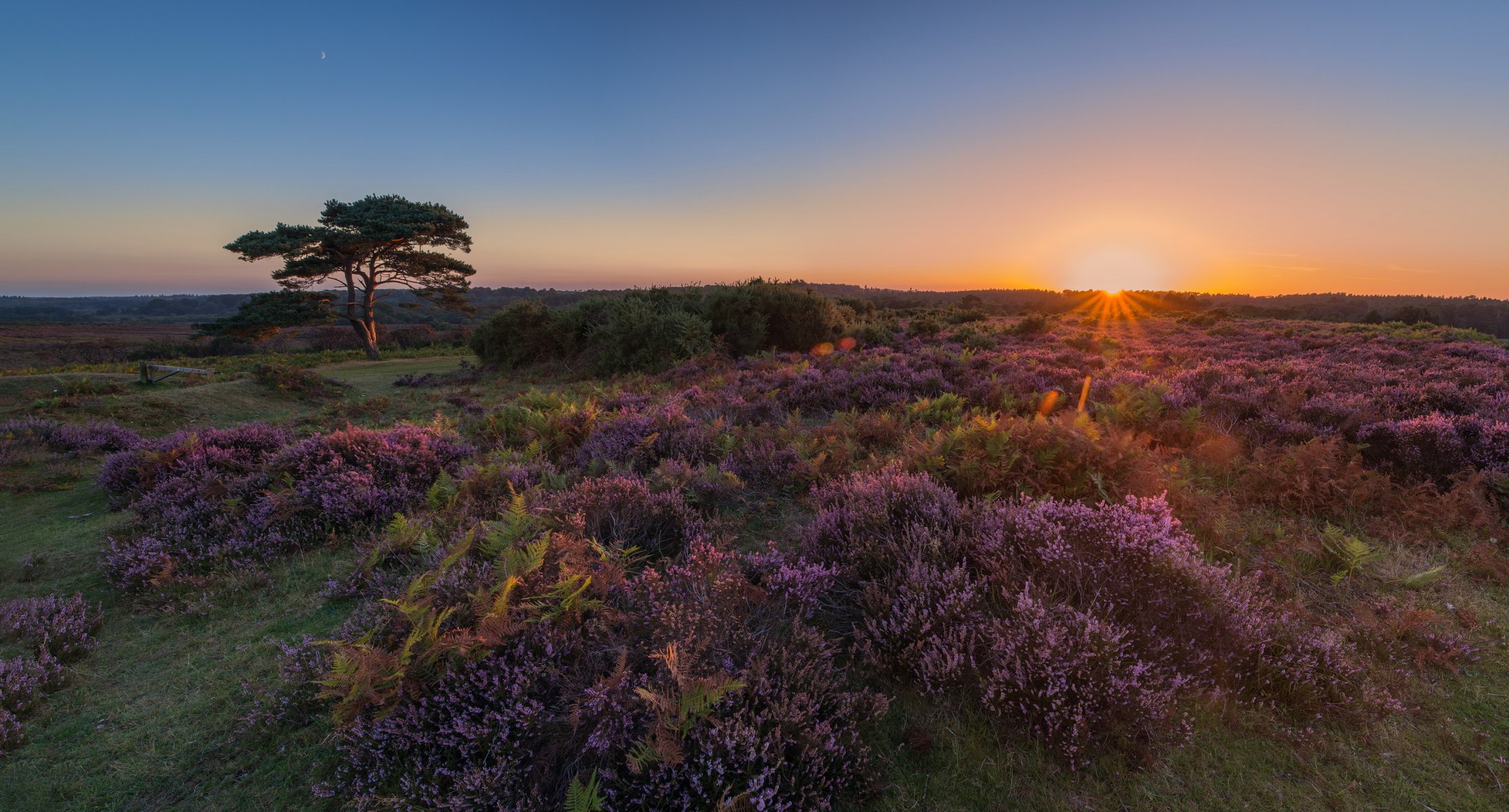 coucher de soleil champ nature paysage