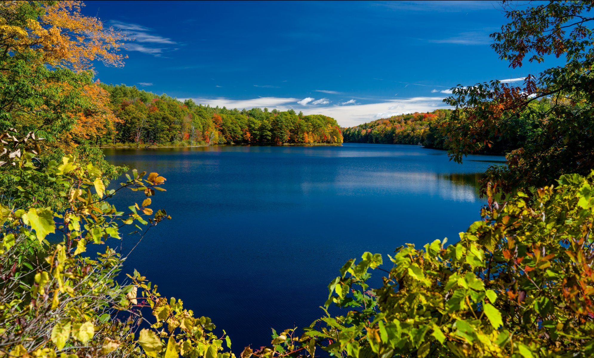 lago rockwood parco adirondack new york lago rockwood new york autunno lago alberi rami