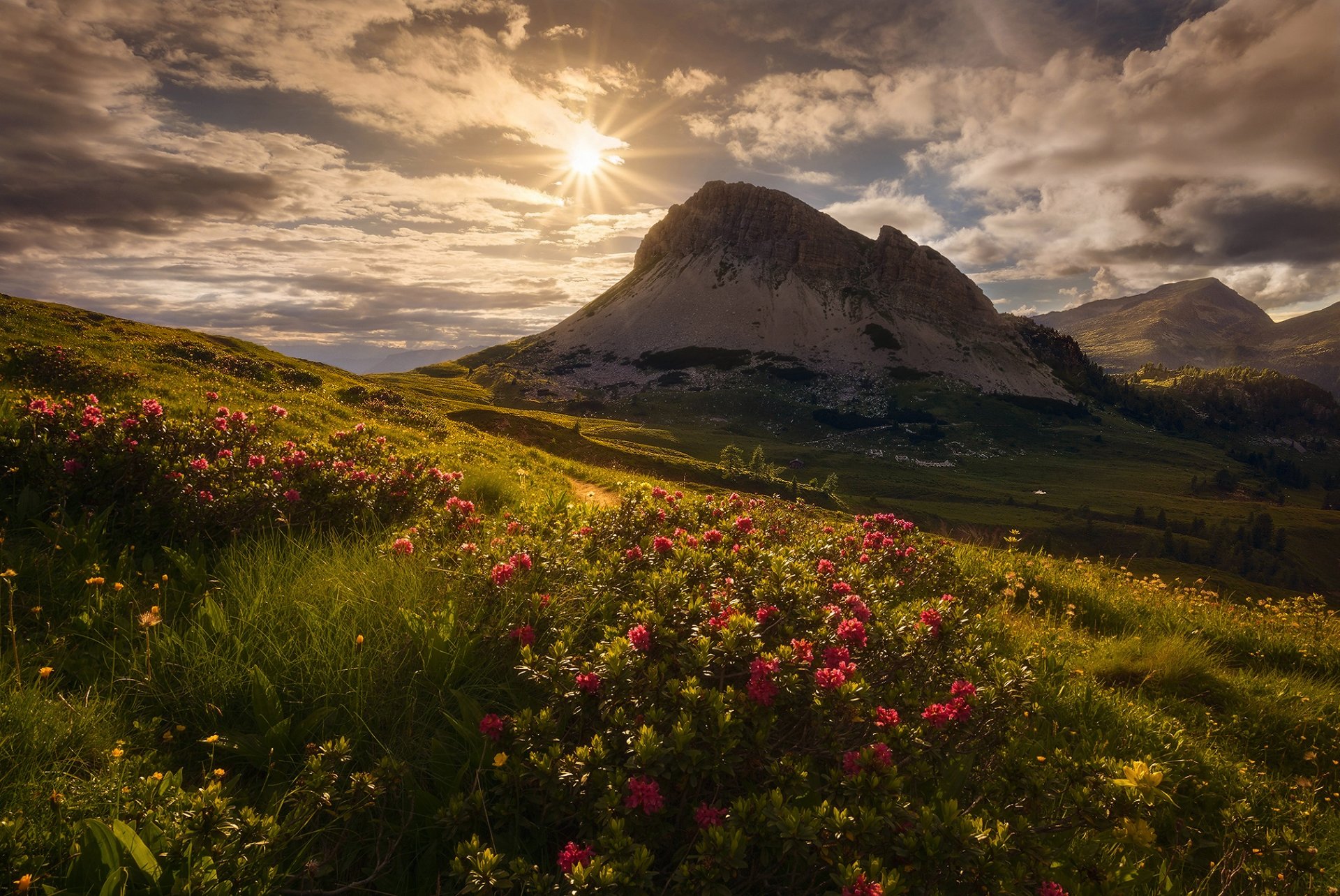 italia montagne alpi sole cielo nuvole fiori erba