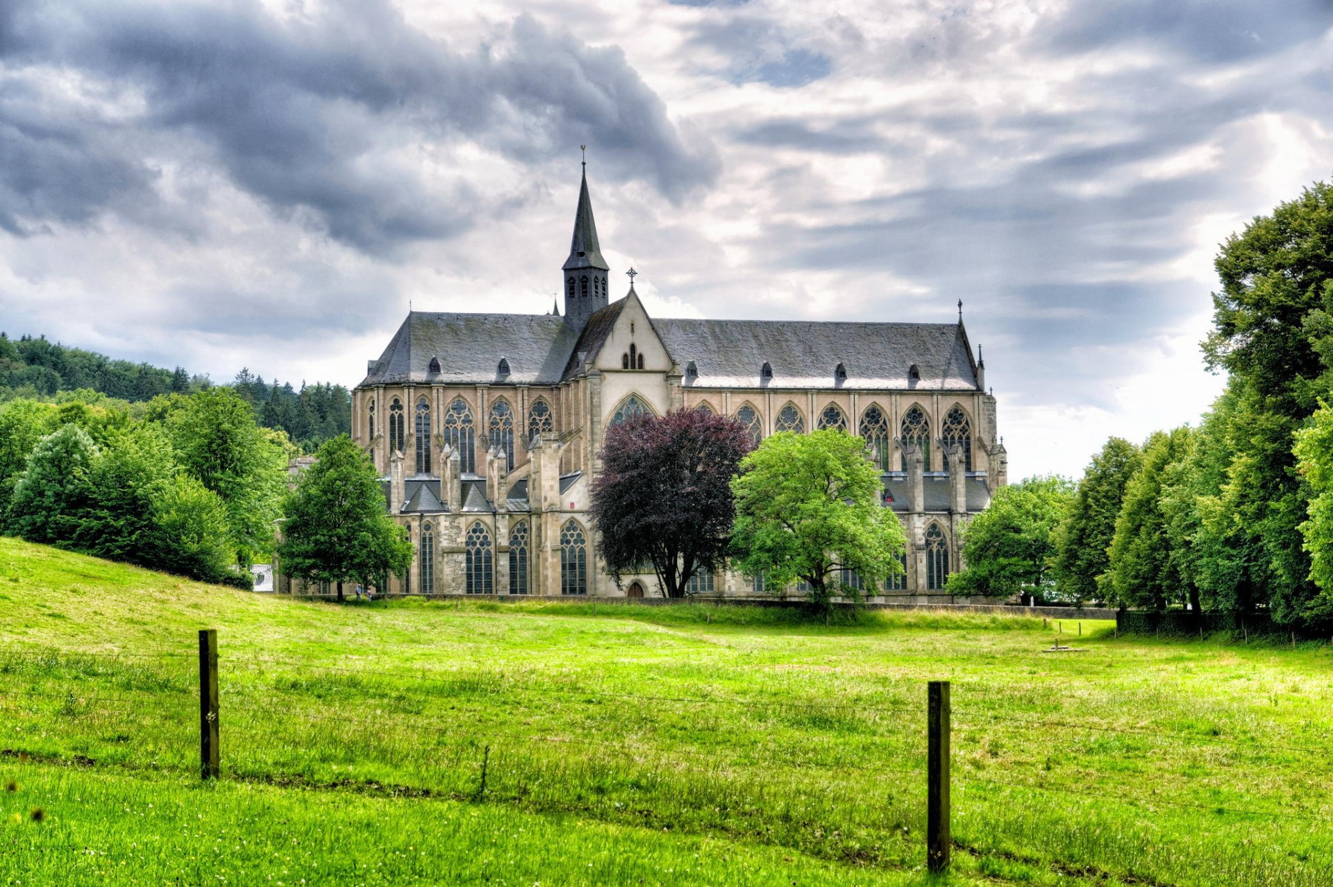 altenberg germania cattedrale alberi erba paesaggio