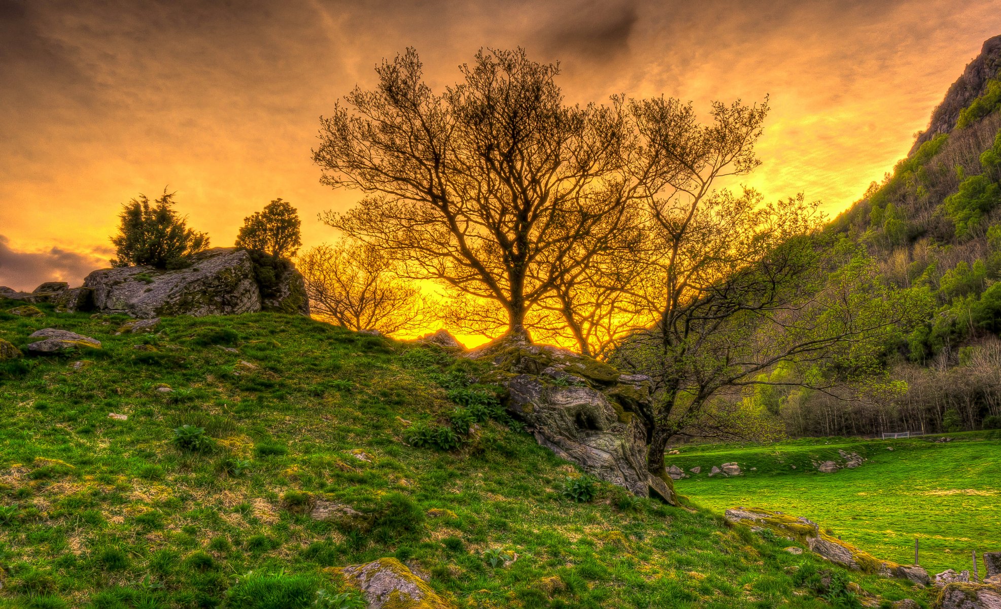 cielo tramonto montagne rocce erba alberi hdr