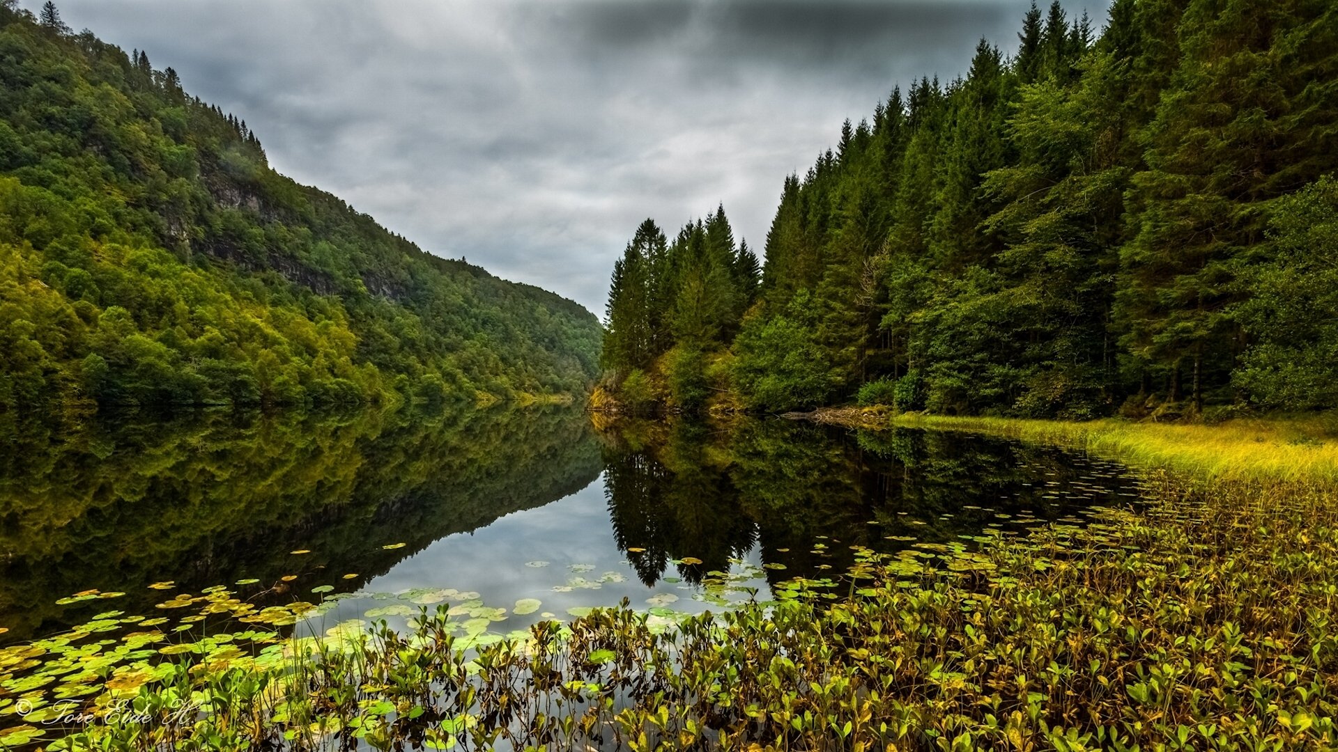 kossdalen valley osteroy norway osterёy lake forest