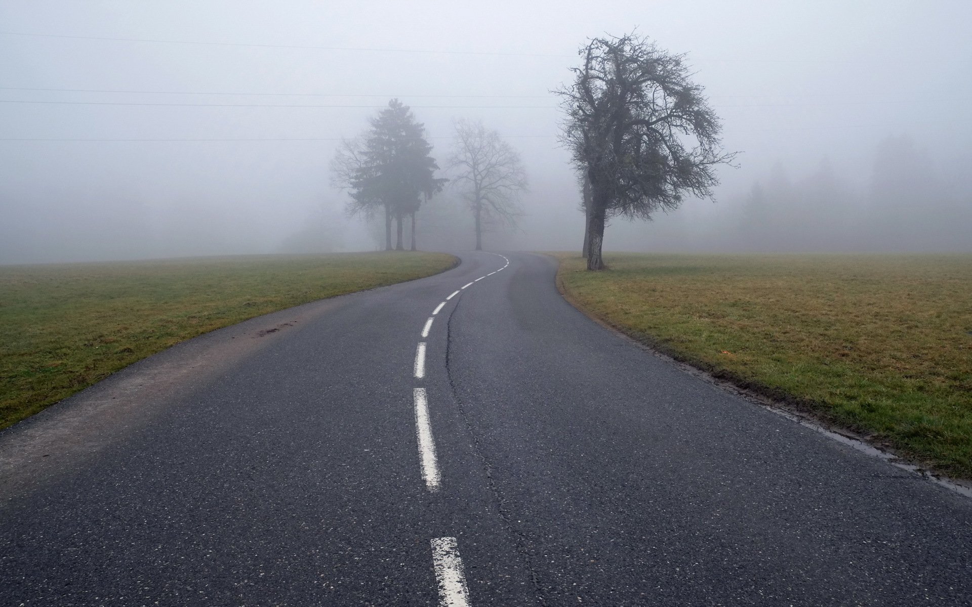 road fog landscape