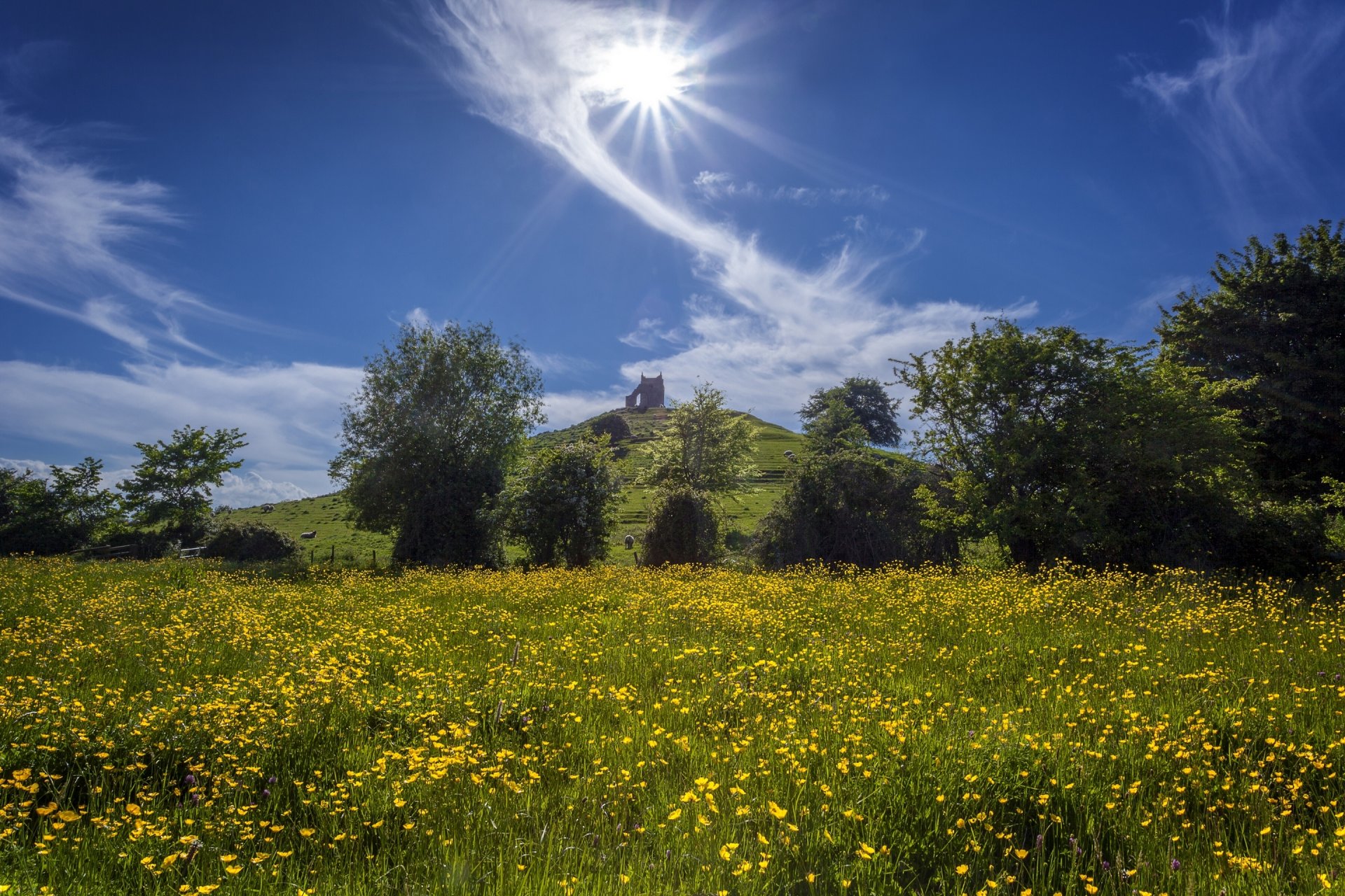 barrow cheat burrowbridge somerset inglaterra barrowbridge colina prado flores ranúnculos árboles cielo nubes