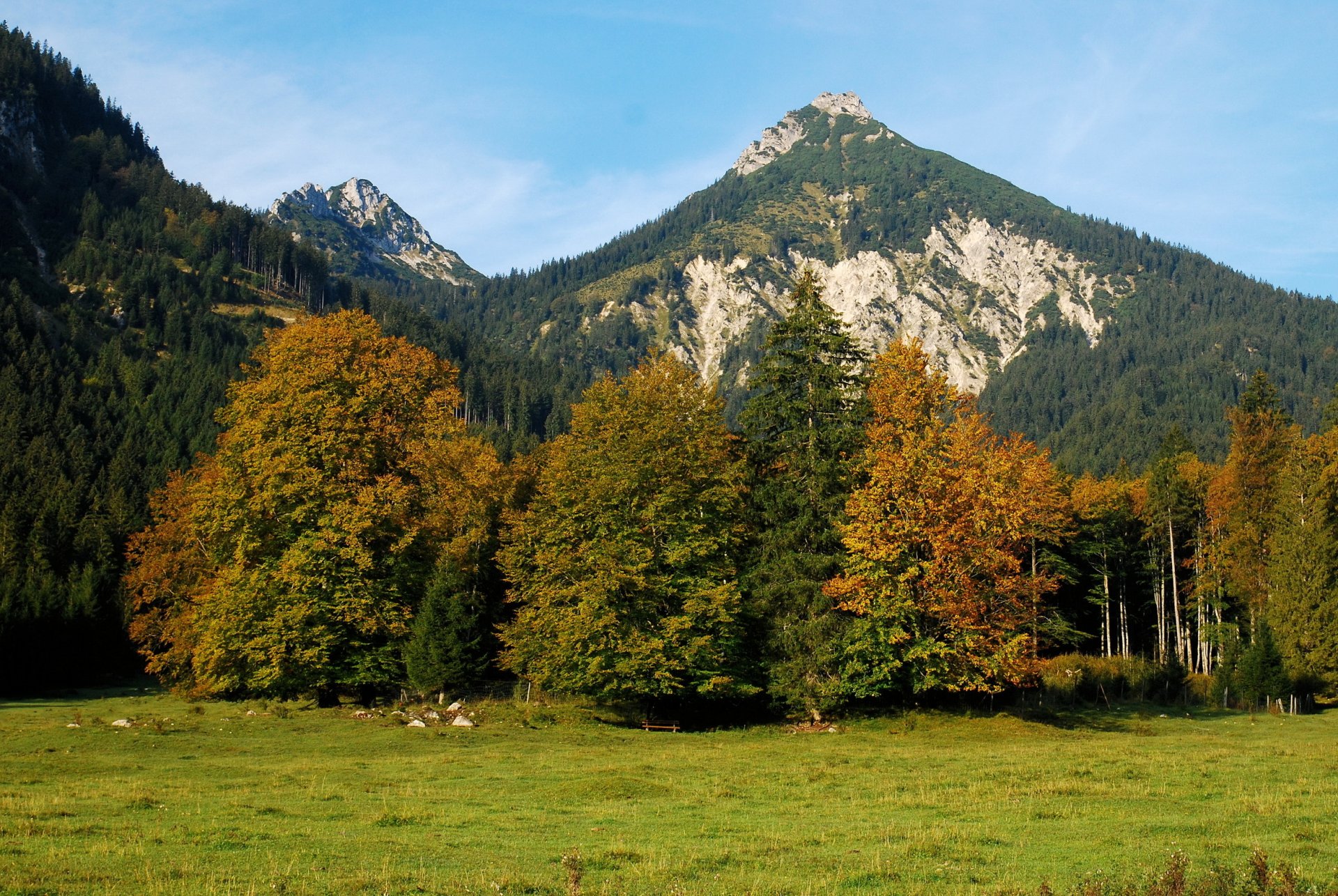 berge österreich wald landschaft alpen natur