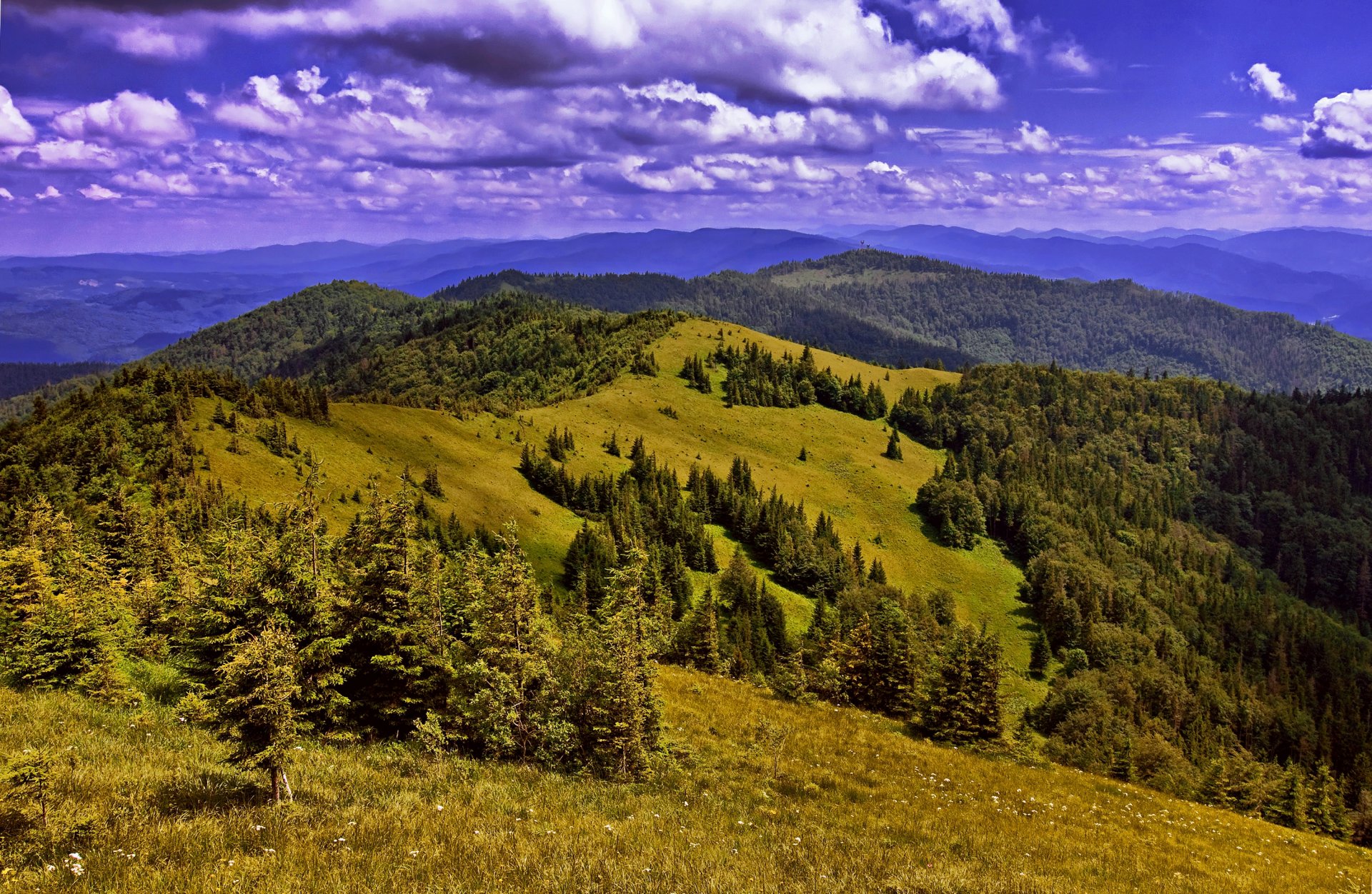 ukraina karpaty góry lasy pola chmury