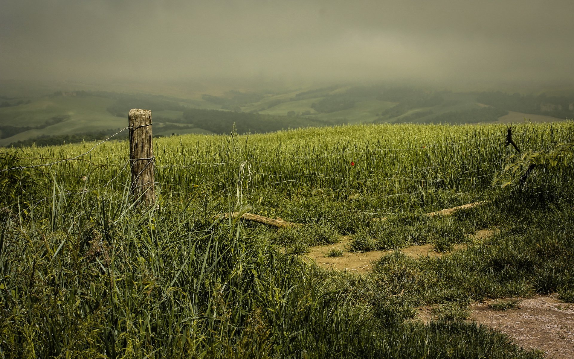 campo cerca noche paisaje