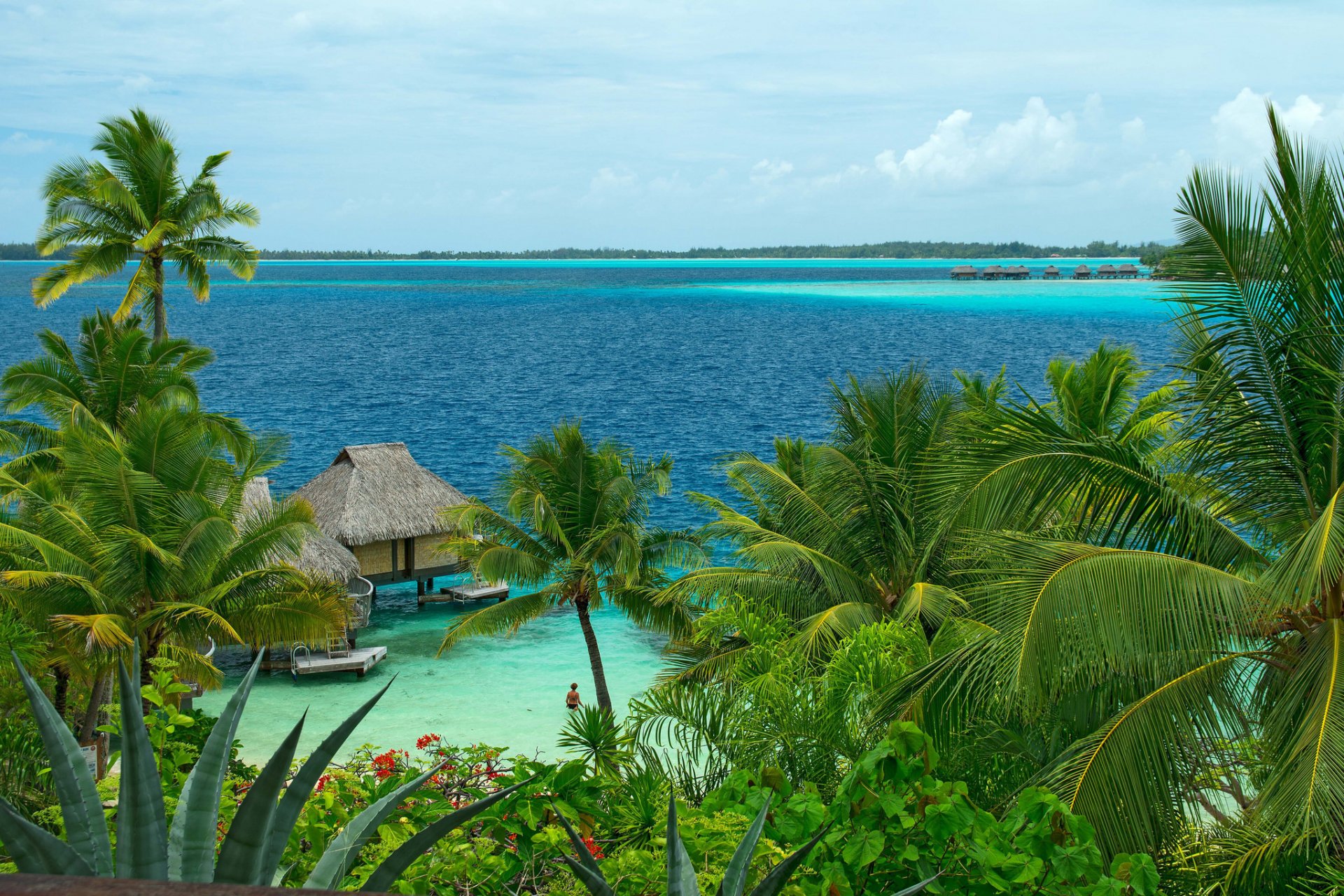 océan plage bungalow palmiers ciel nuages