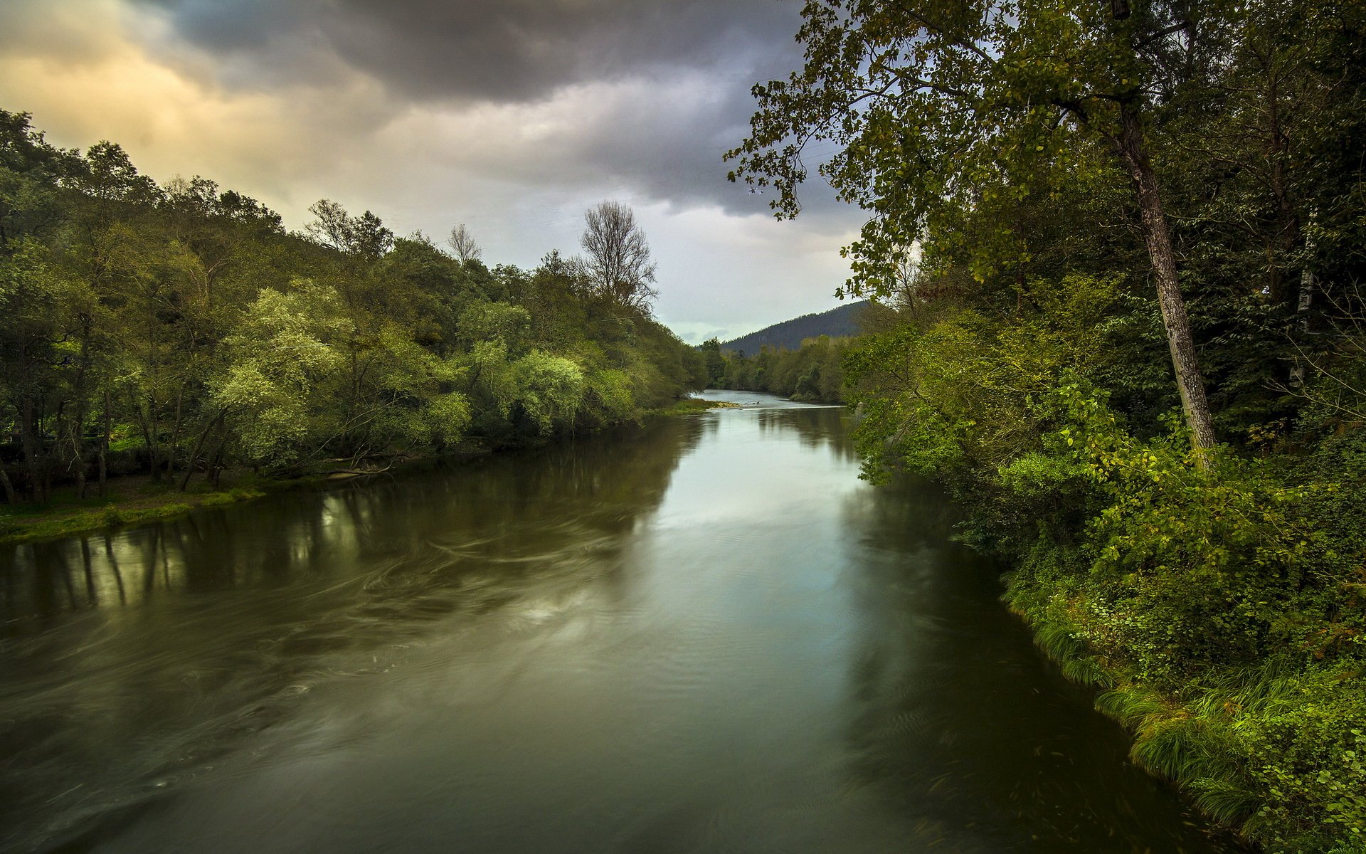 fiume alberi paesaggio