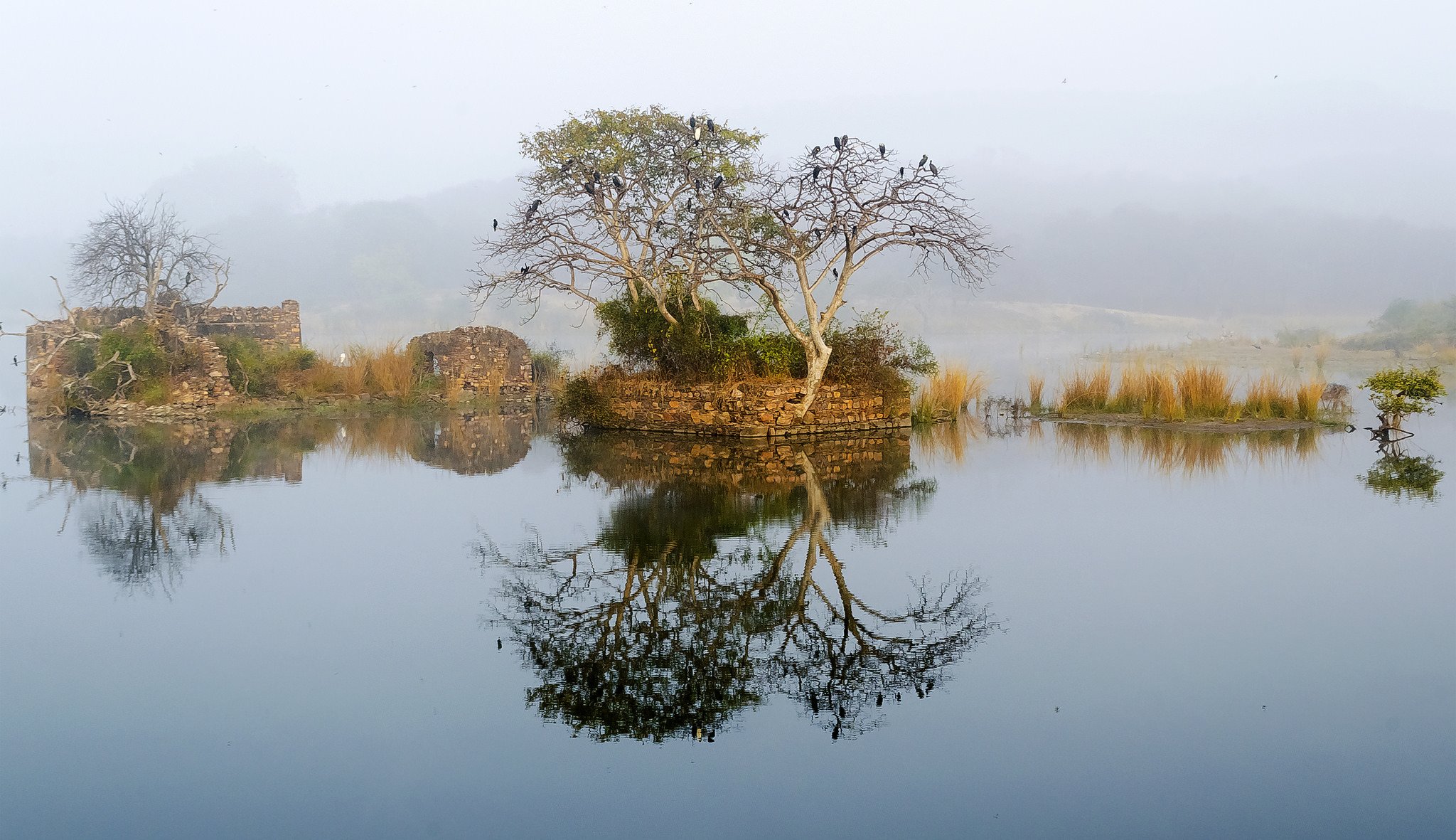 ky mountains lake fog tree ruins ruin