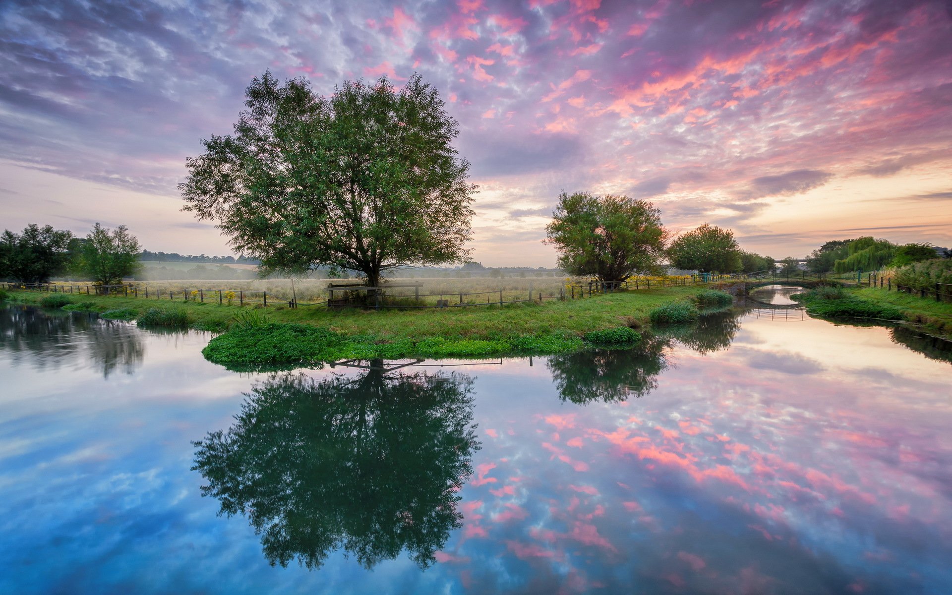 fluss brücke bäume feld morgen morgendämmerung sommer