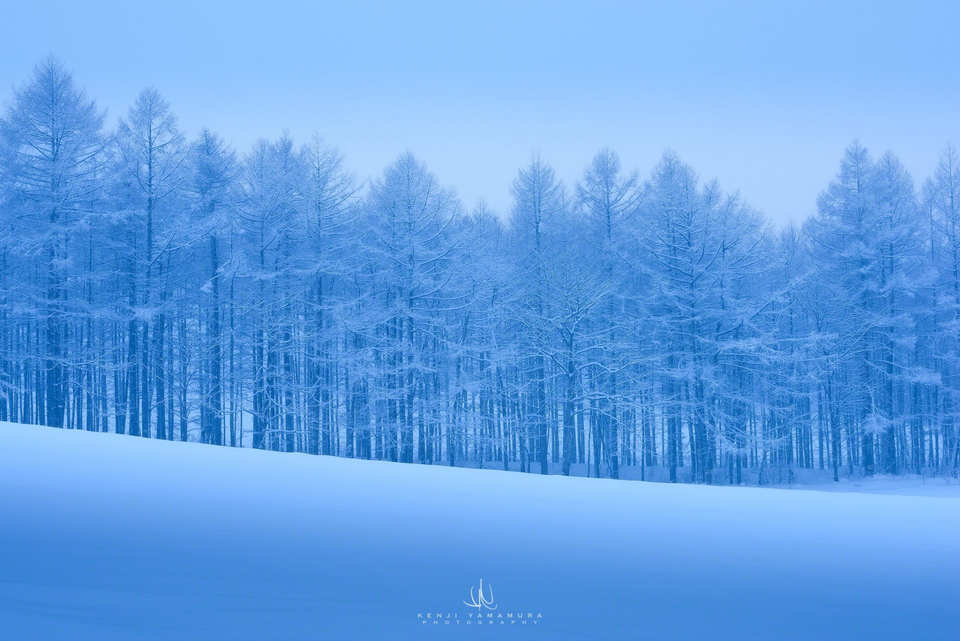 kenji yamamura fotógrafo nieve árboles escarcha frío