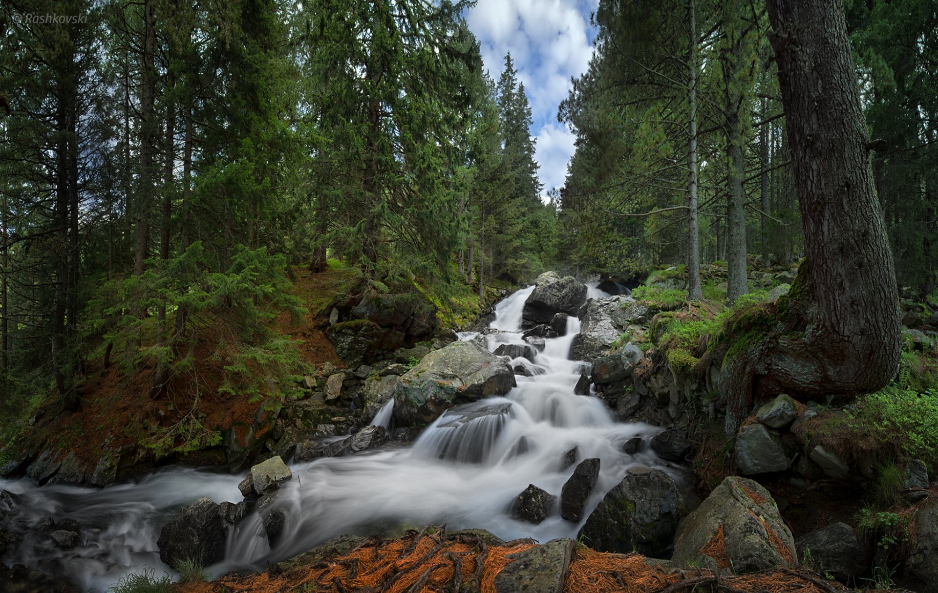 kakavica cascata parco nazionale di rila bulgaria parco nazionale di rila cascata foresta