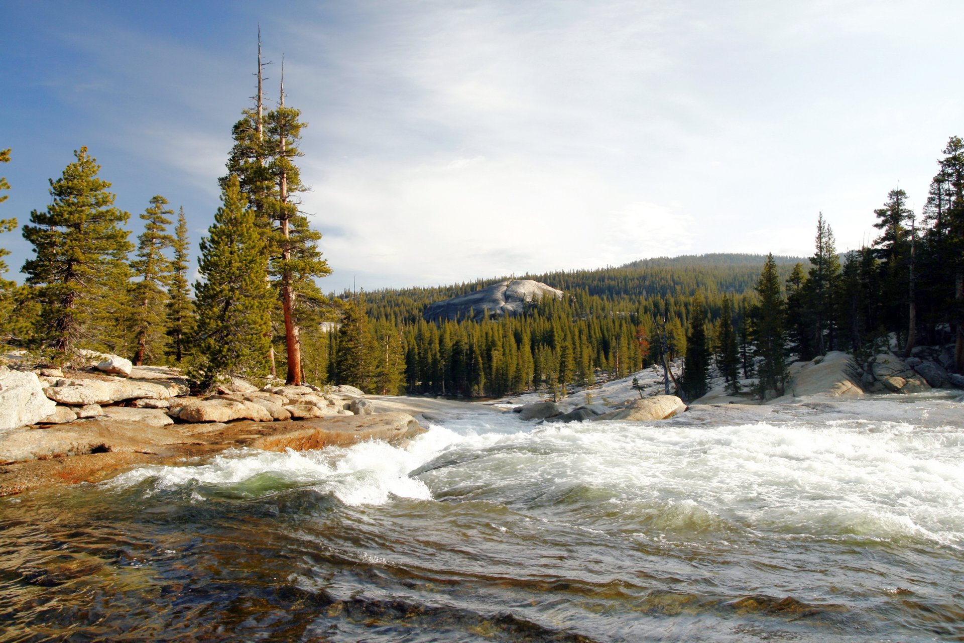 stany zjednoczone park narodowy yosemite kalifornia las drzewa rzeka tuolumne prąd burzliwy strumień brzeg skały