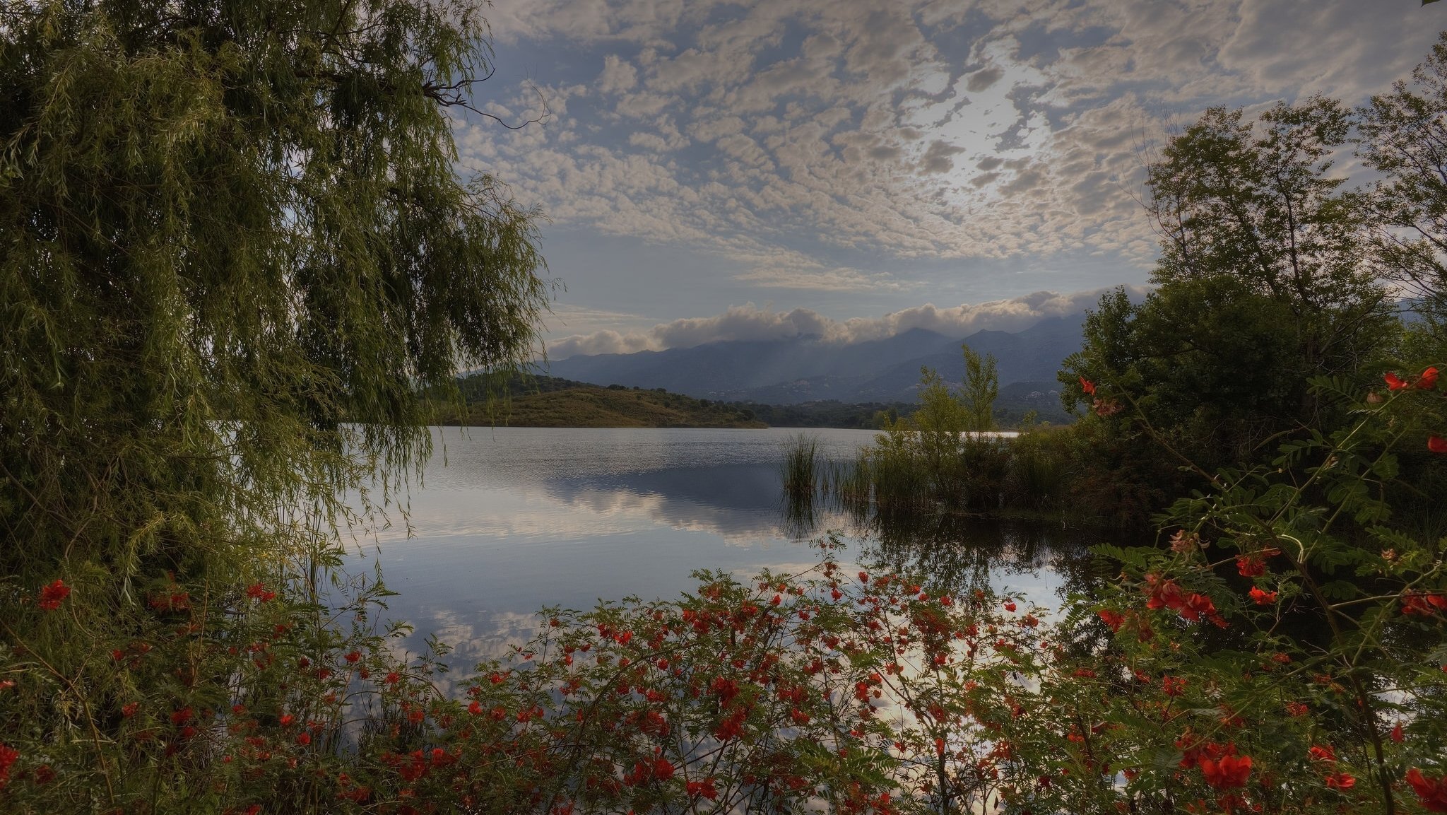 lac arbres buissons nuages