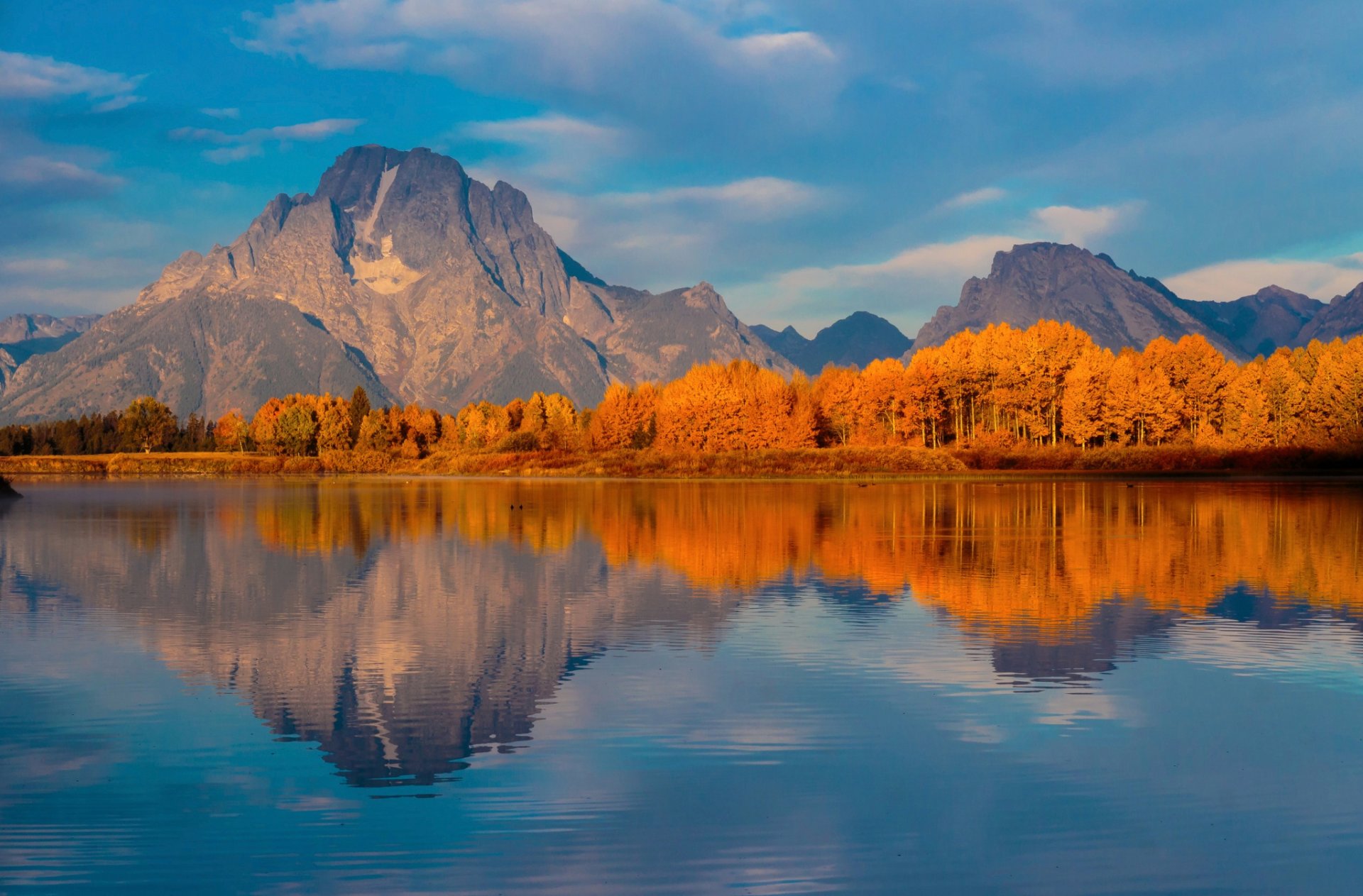 stany zjednoczone wyoming park narodowy grand teton zakręt rozlewiska jesień