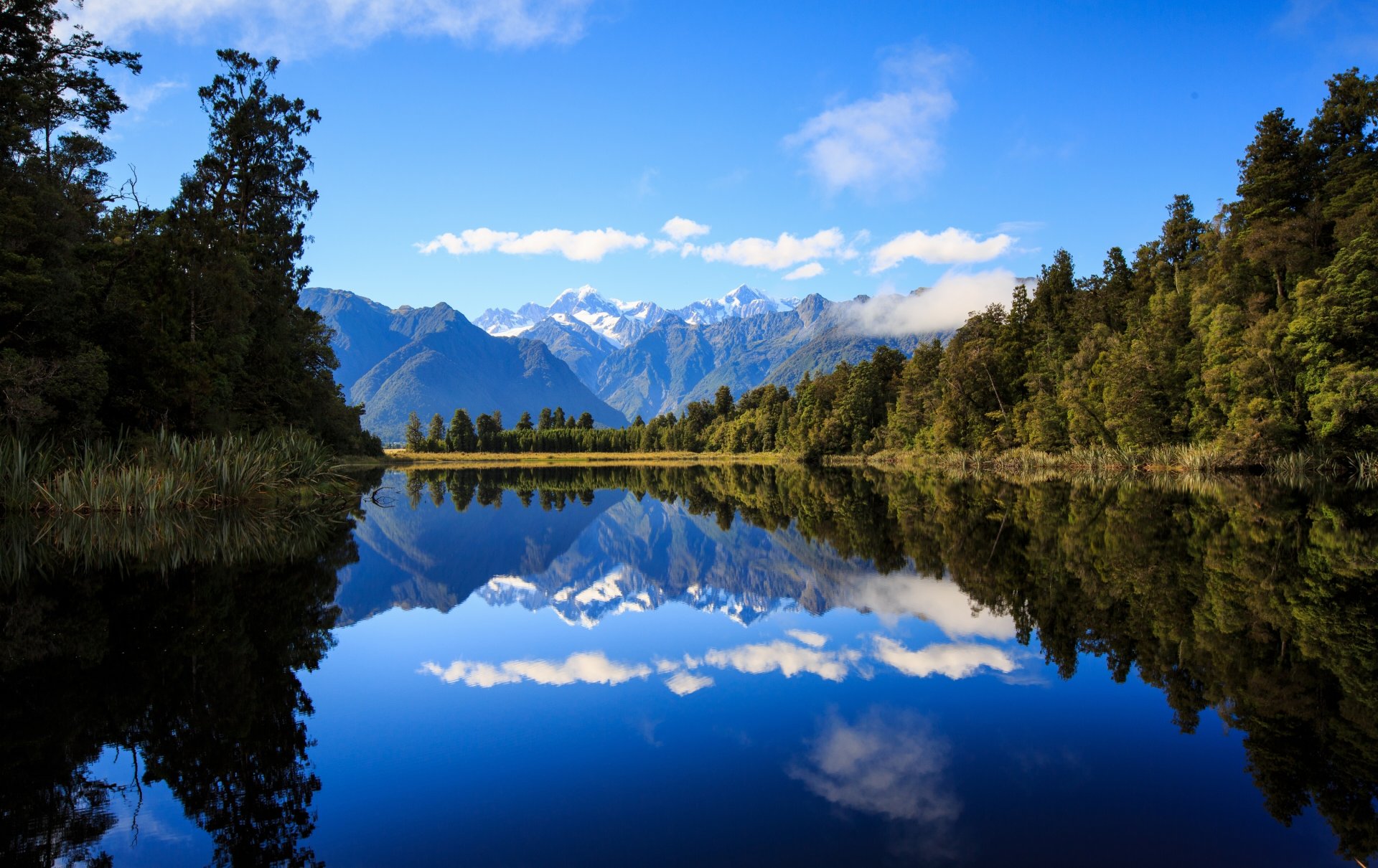 lake matheson new zealand southern alps lake mountain forest reflection