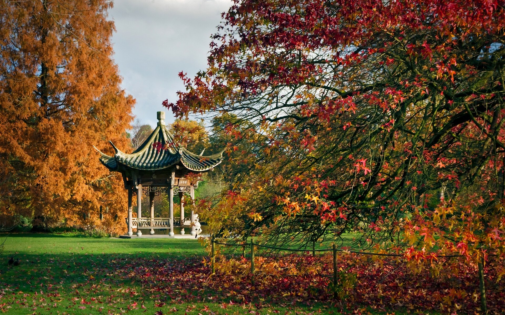 rhs garden wisley england wesley botanical garden weather garden furniture tree autumn