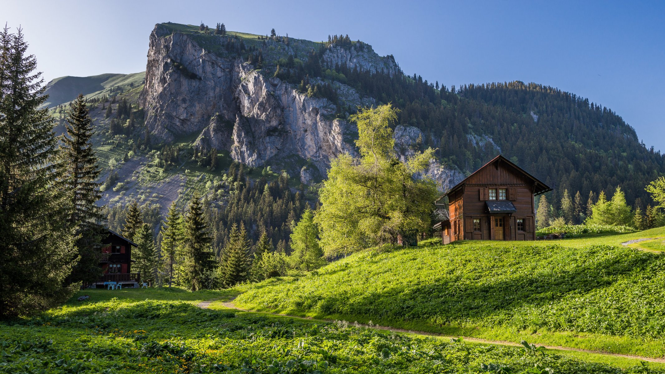 cantón de valais suiza alpes montañas árboles casa