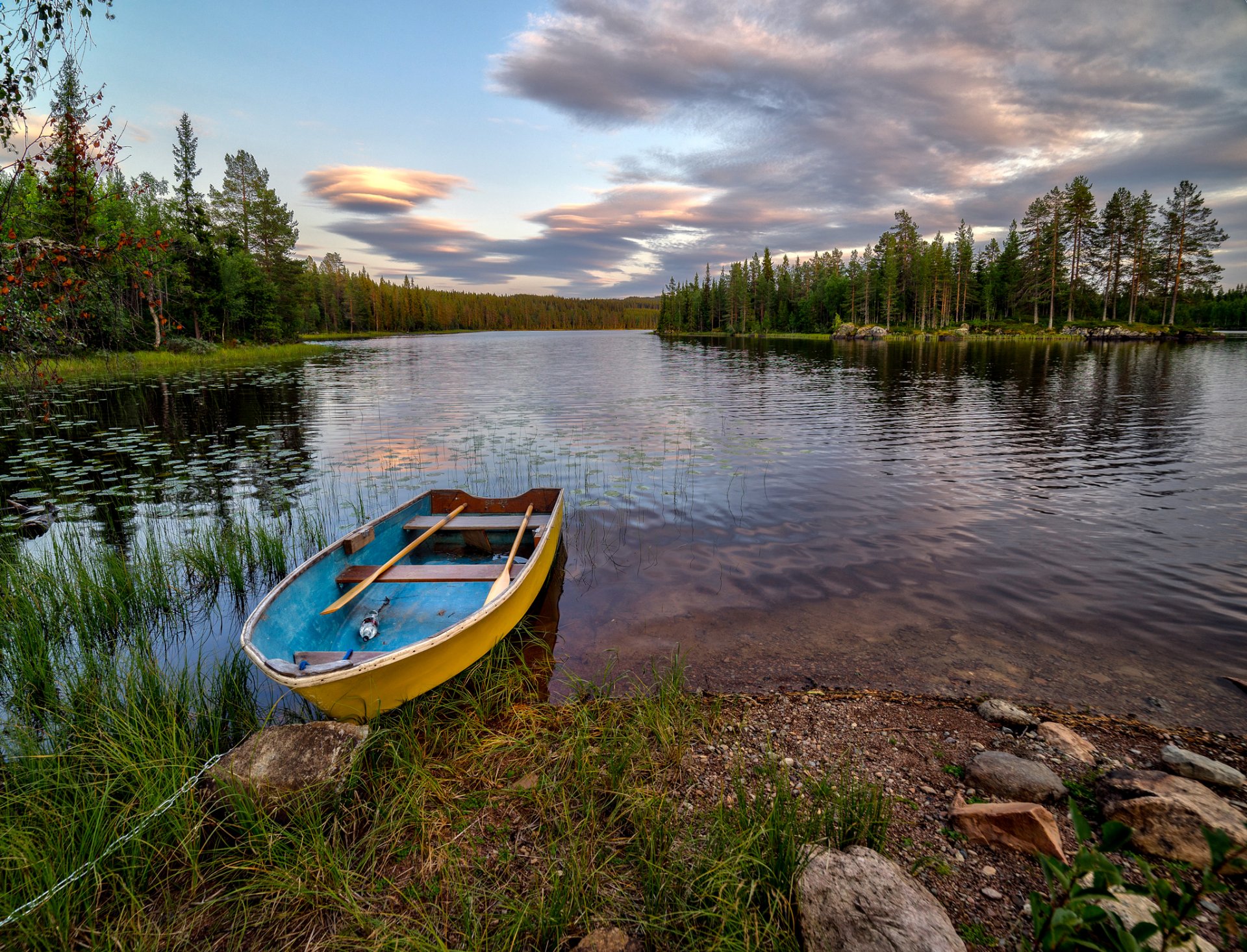 hedmark fylke norvegia foresta lago isolotto alberi riva barca pietre