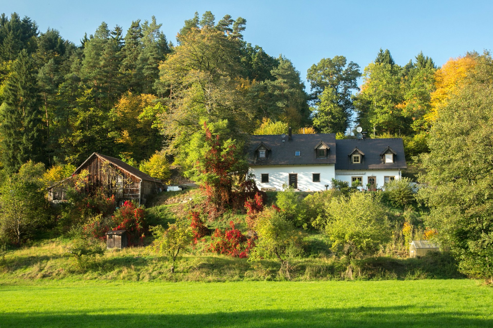 germany bayern munich houses tree slope field grass green sun