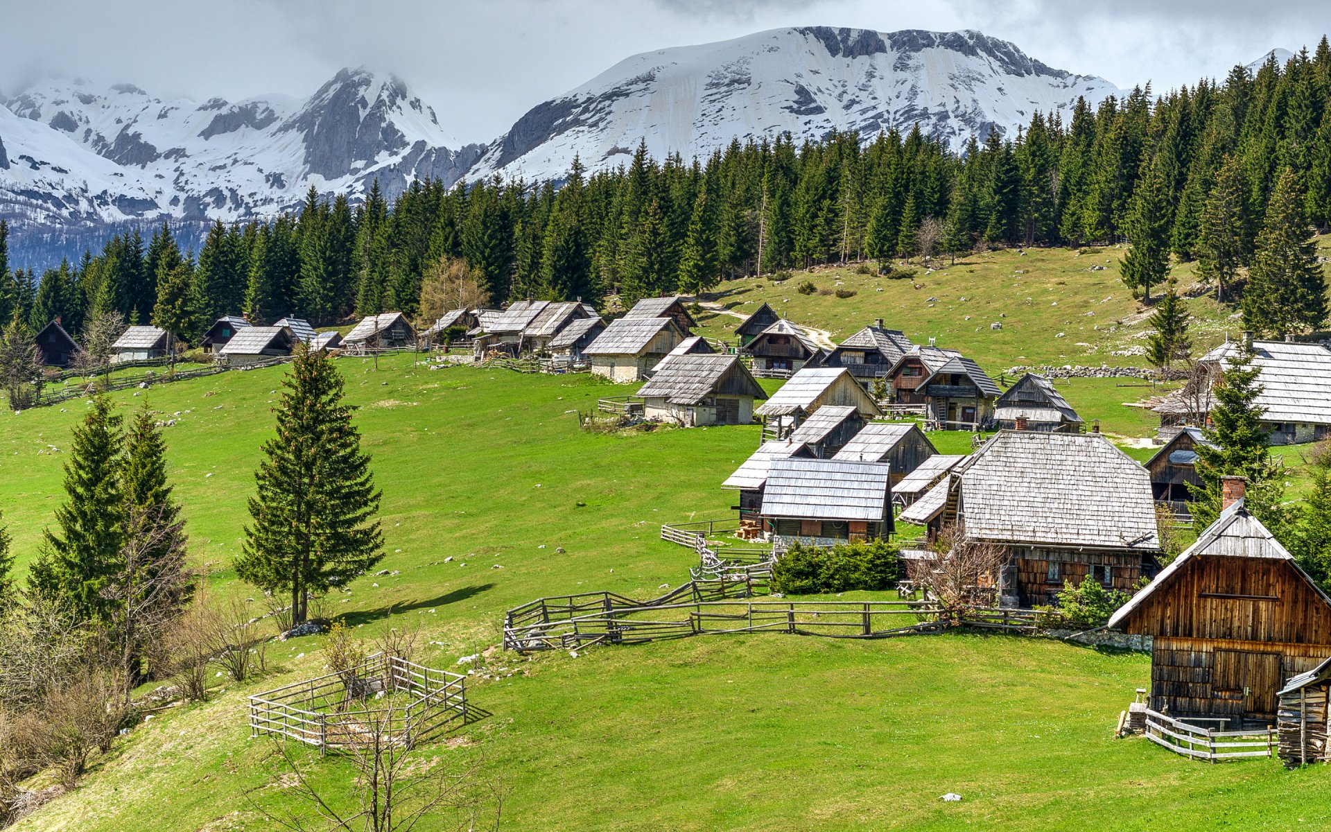 słowenia pokljuka góry las polana domki